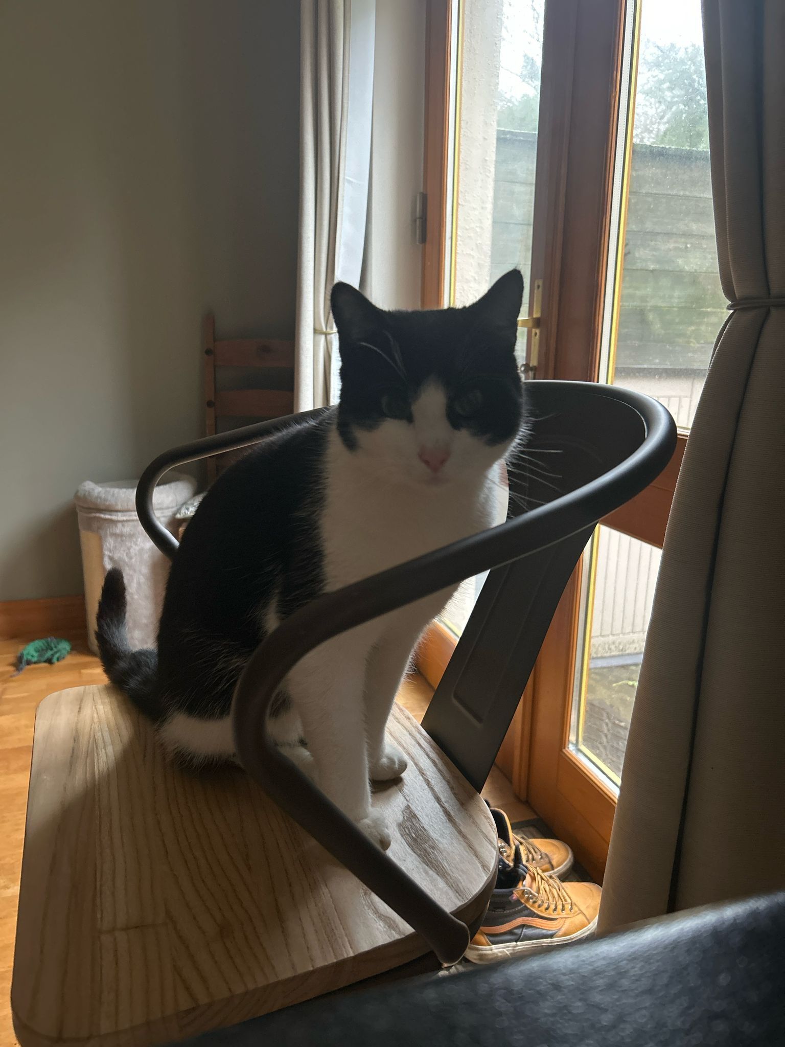 Bebop - Ardnaglug, Athlone