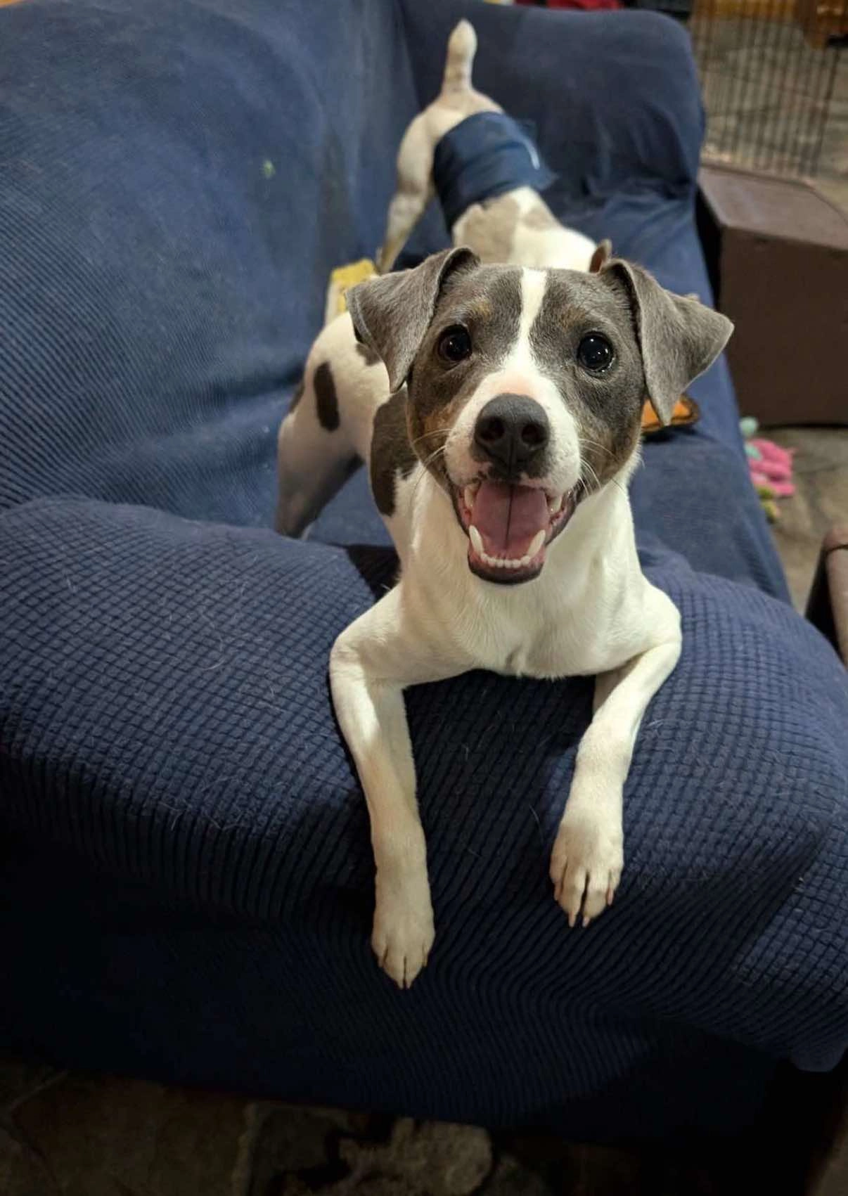 Coby  - Phasi Charoen, Bangkok