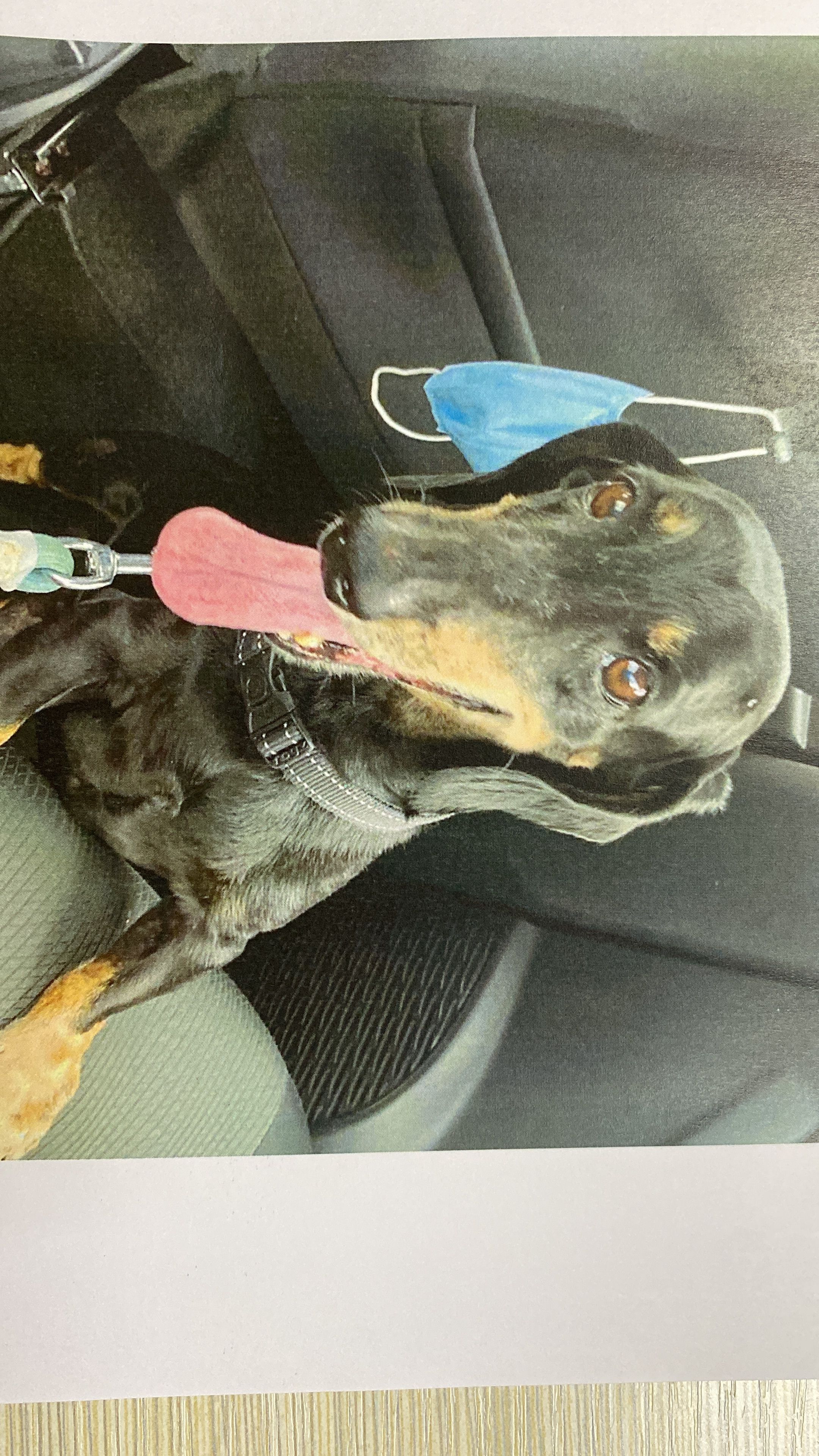 Happy - 47610, Subang Jaya