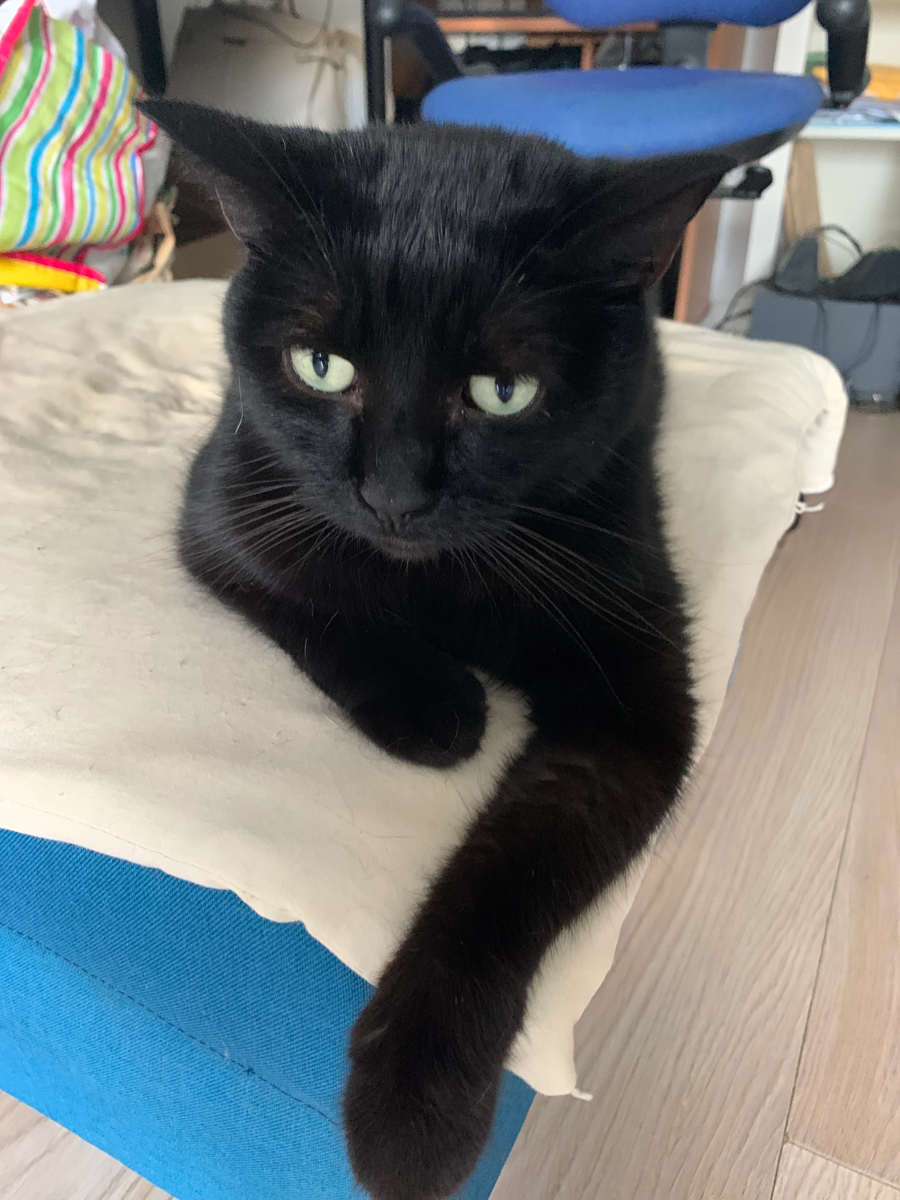 Omega - 23 Rue Élise Déroche, Angers