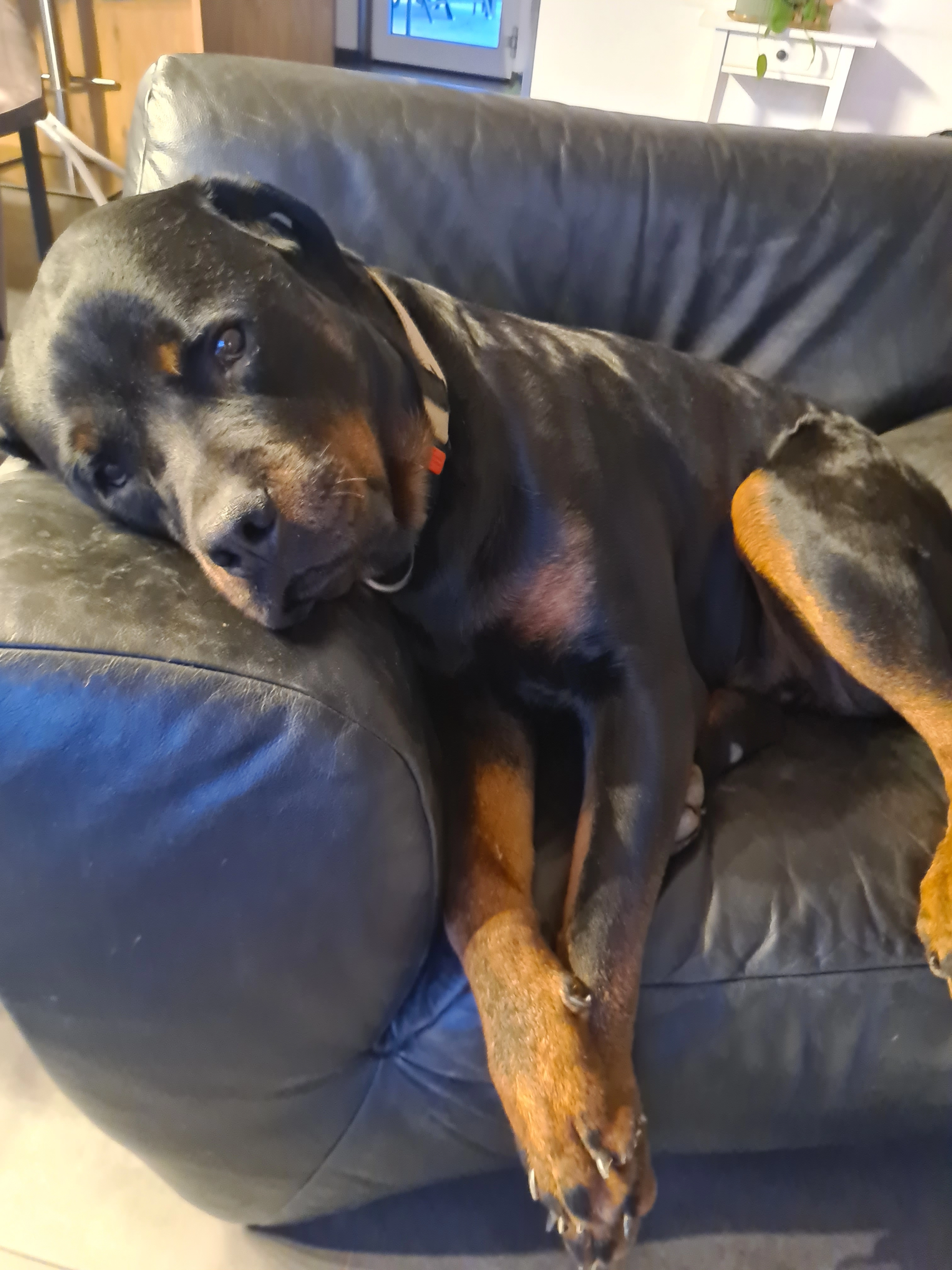 Carl - Am Wilfenberg, Oberderdingen