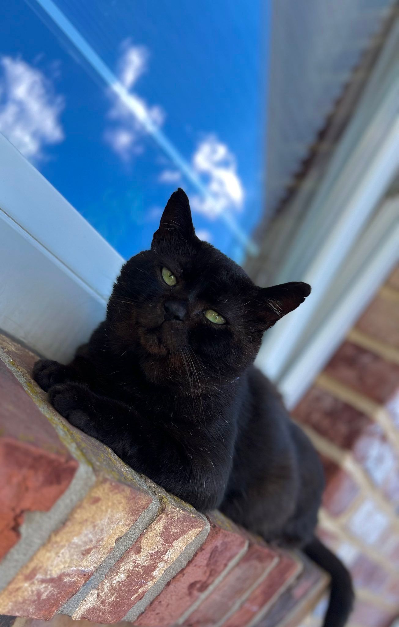 Bax - Stauffenbergstraße, Spelle