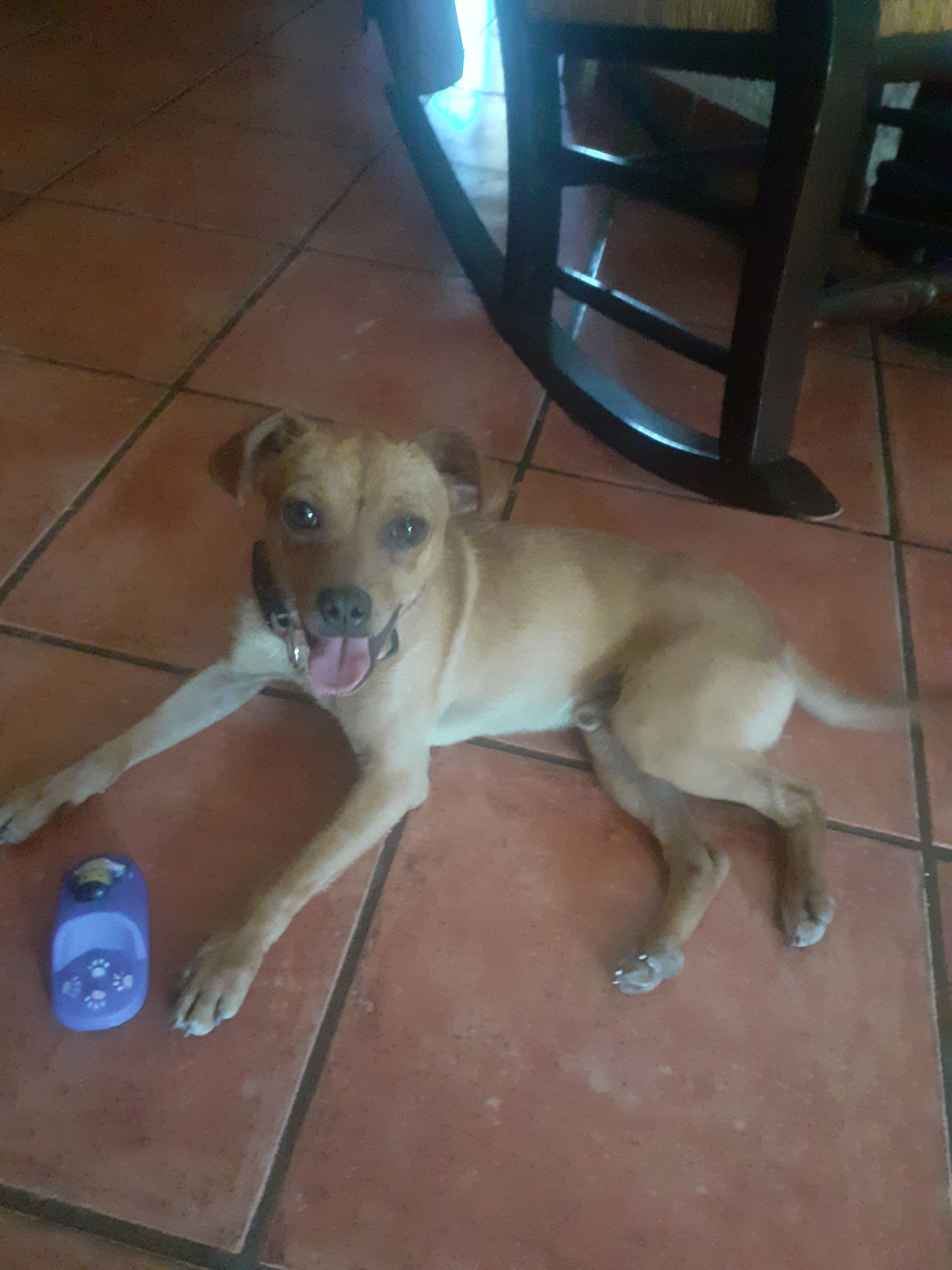 Juanito - Diseminado Genérico, Almedinilla