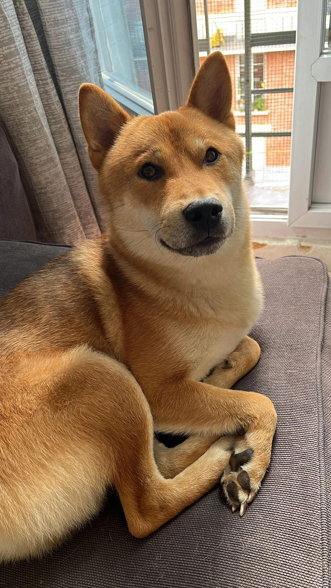 Rocky - 197 Avenue Carnot, Conflans-Sainte-Honorine