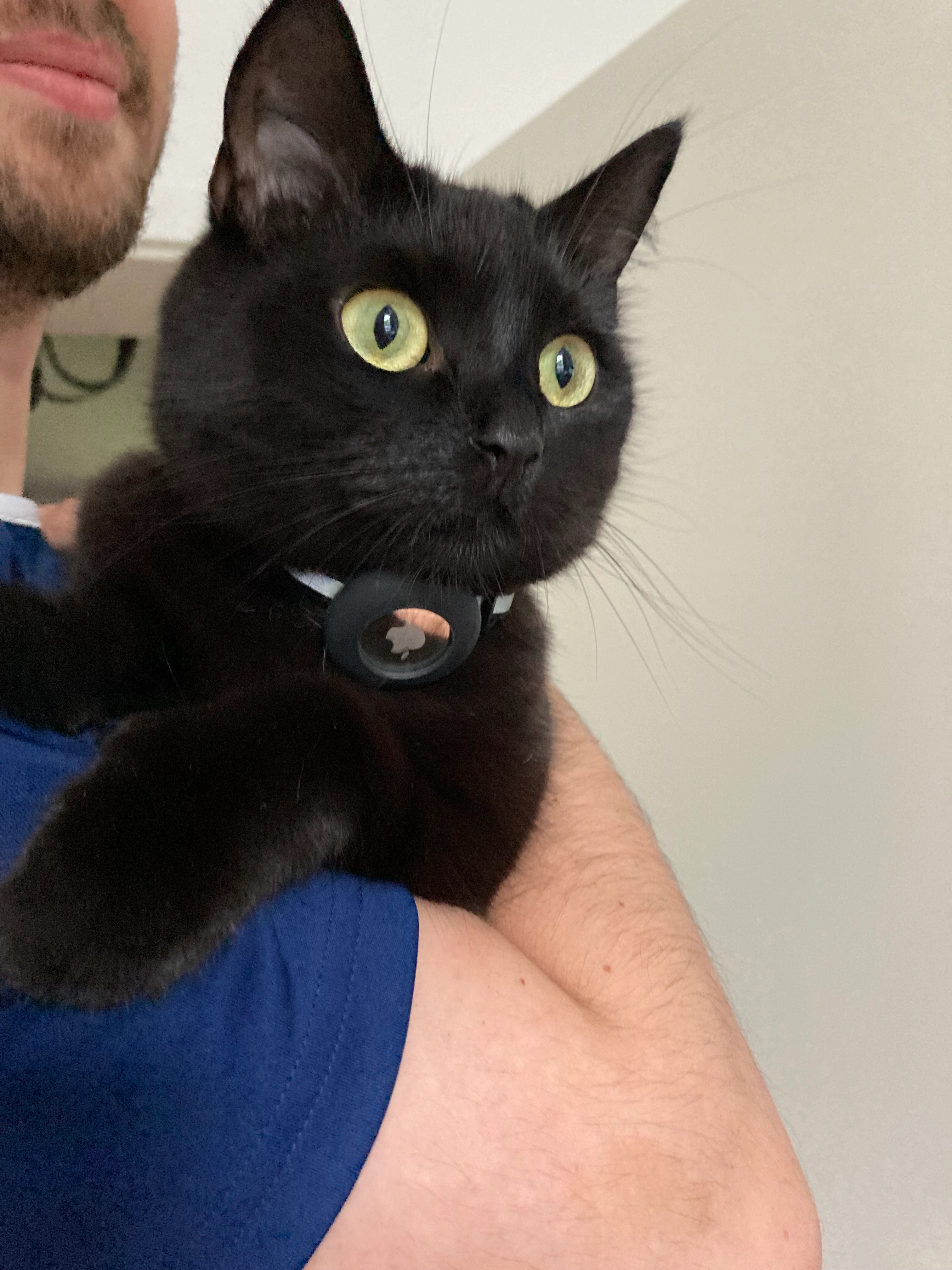 Sueli - Dorotheenstraße, Hannover