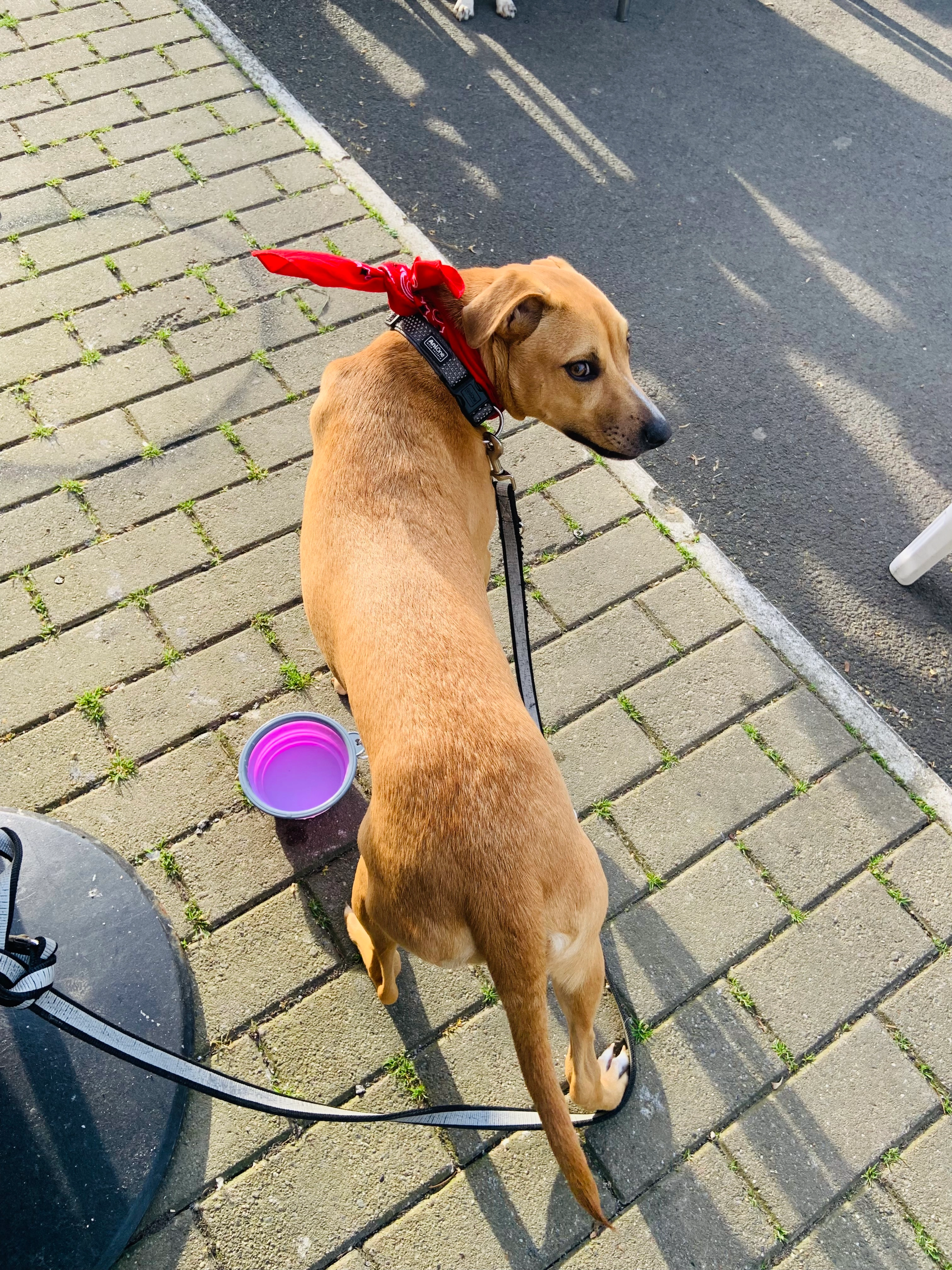 RUBY - 2 Chemin de la Prairie, Tressin
