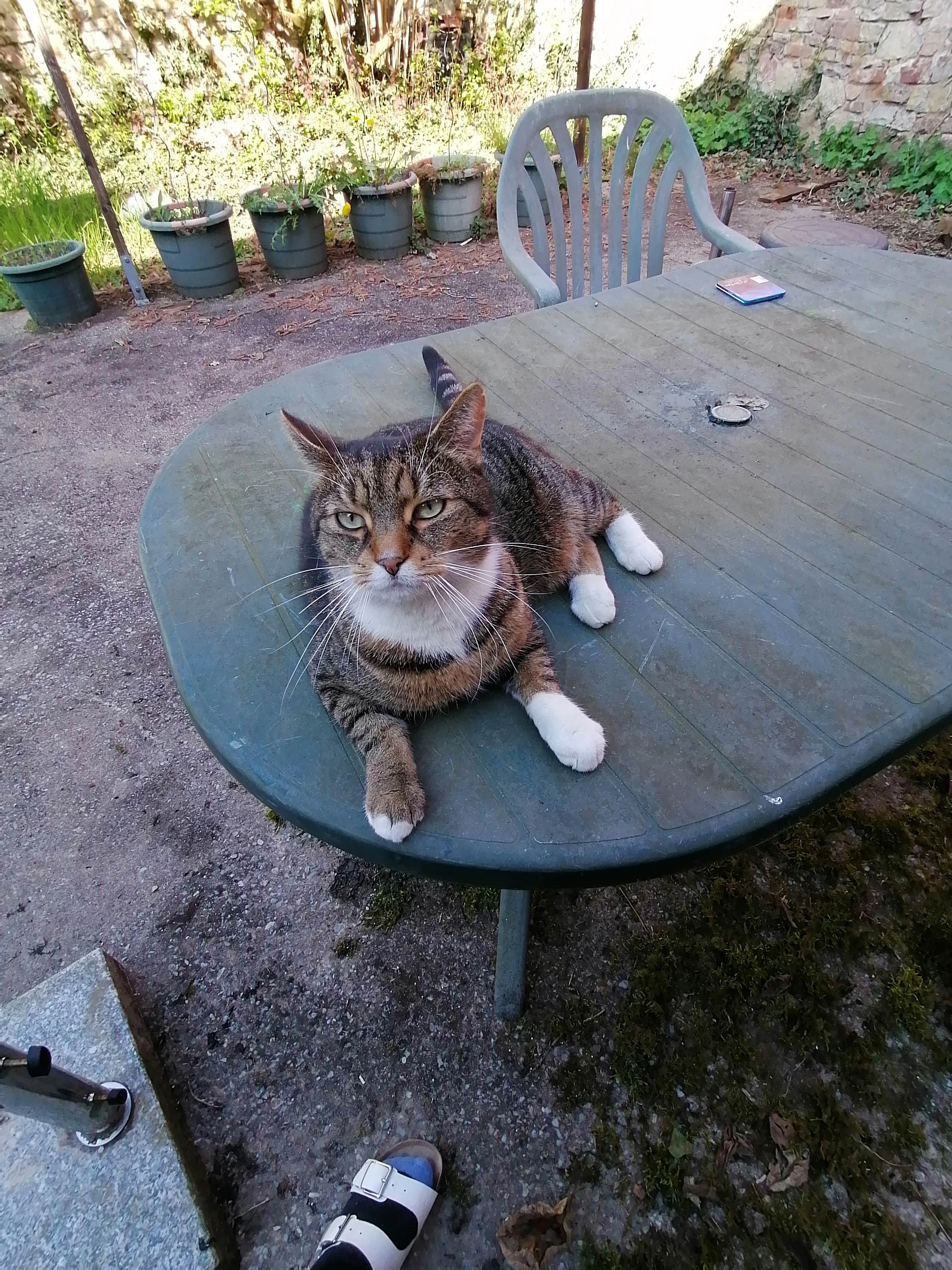 Cisco  - Maingasse, Zellingen