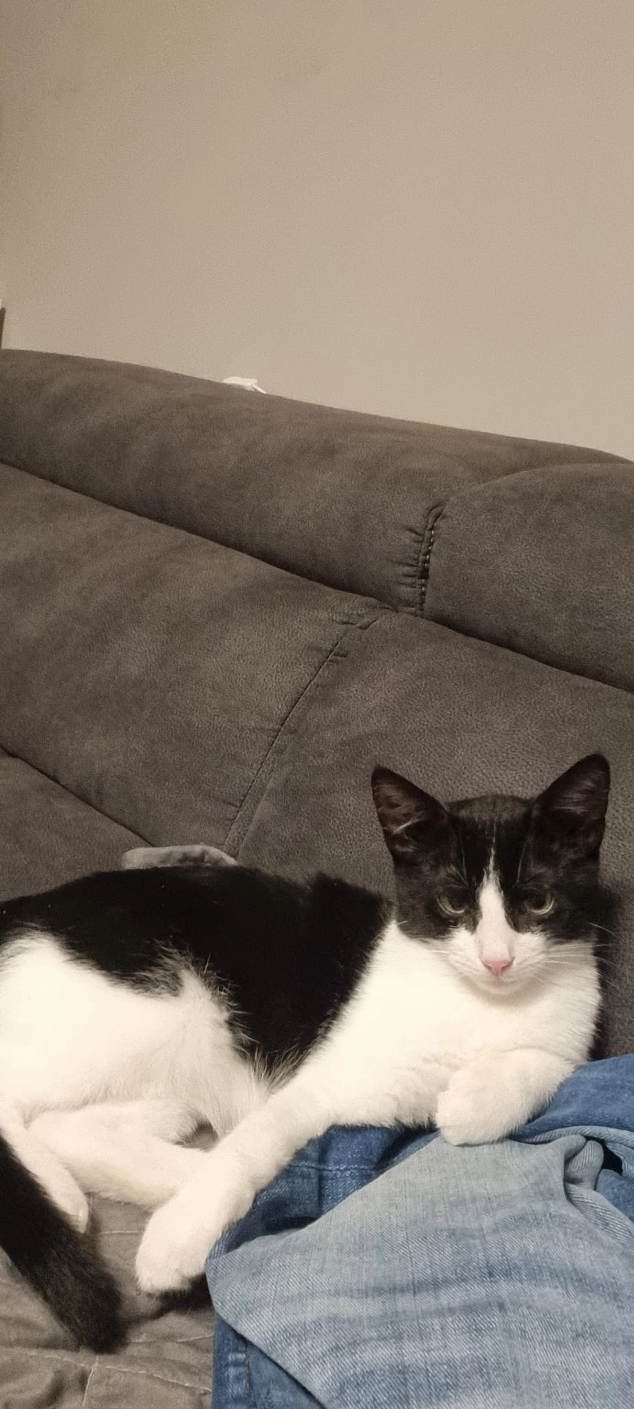 Snoopy - Ulrich-Günther-Straße, Lütjenburg