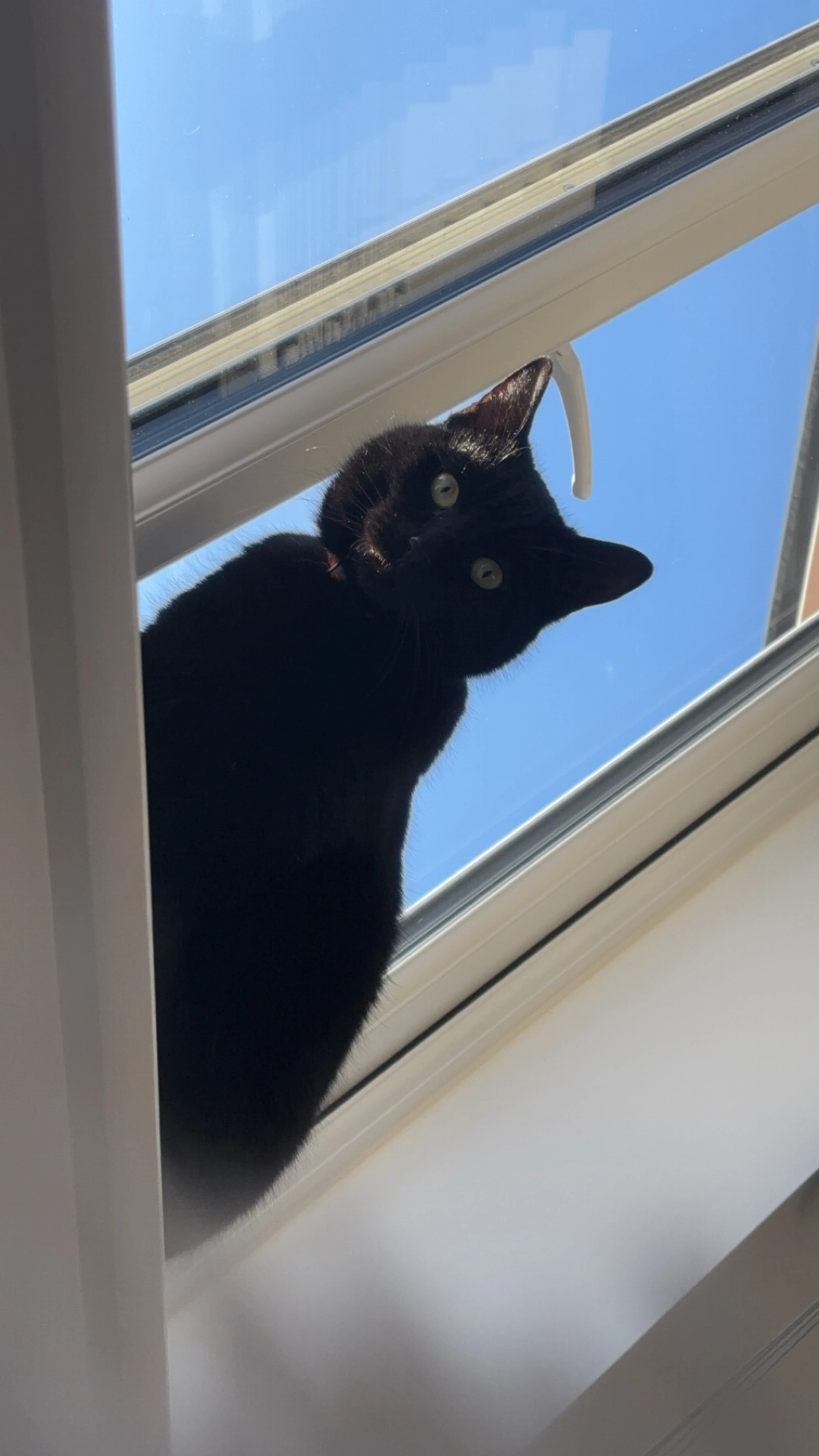 Milo - Sparrow Avenue / Bollin Grange, Macclesfield