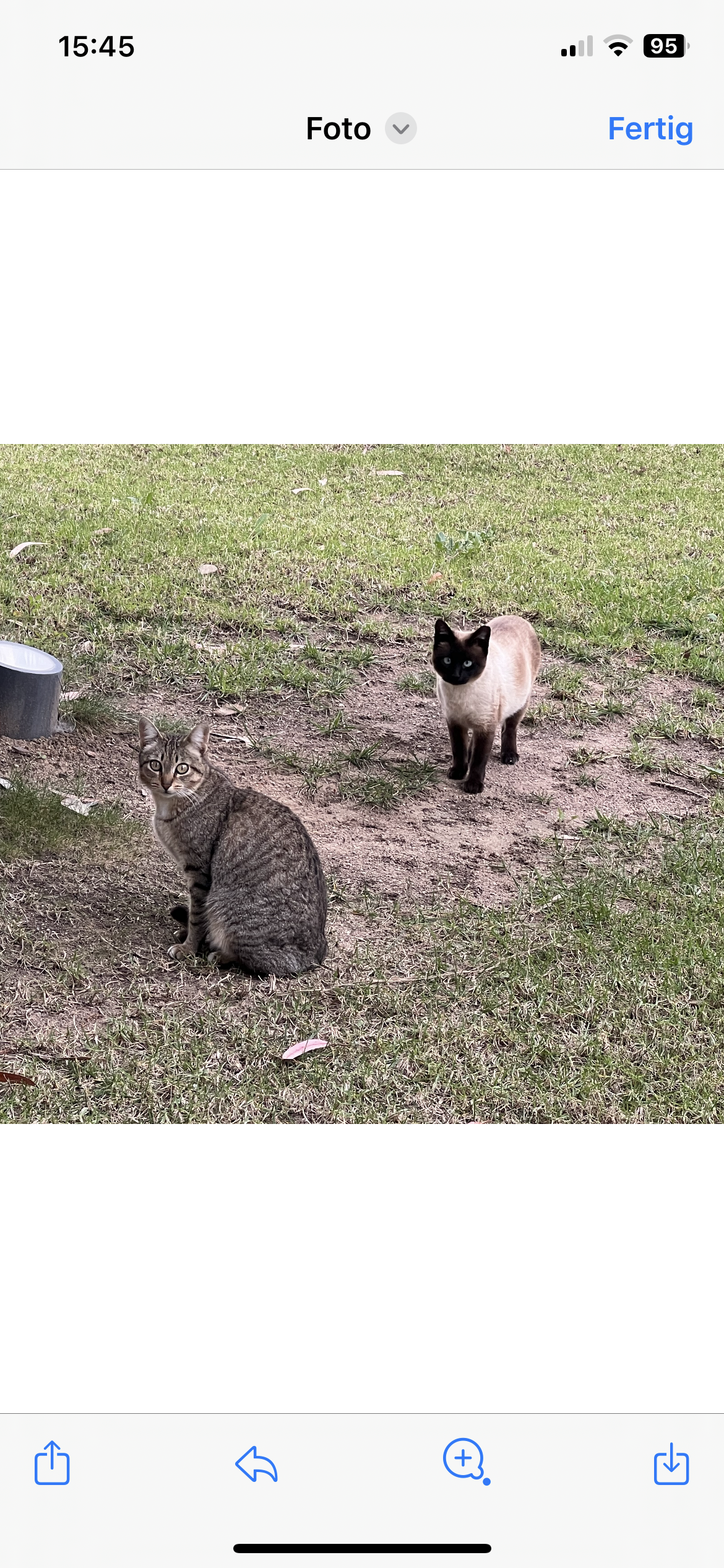 Mautzi und Raquel - Qta Rosal Casa Sall, Lagoa