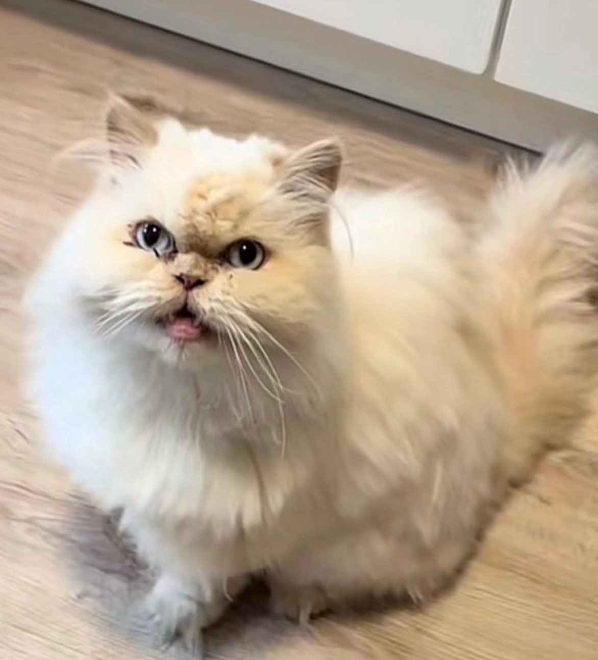 Najm - Oberfeldstraße, Frankfurt am Main