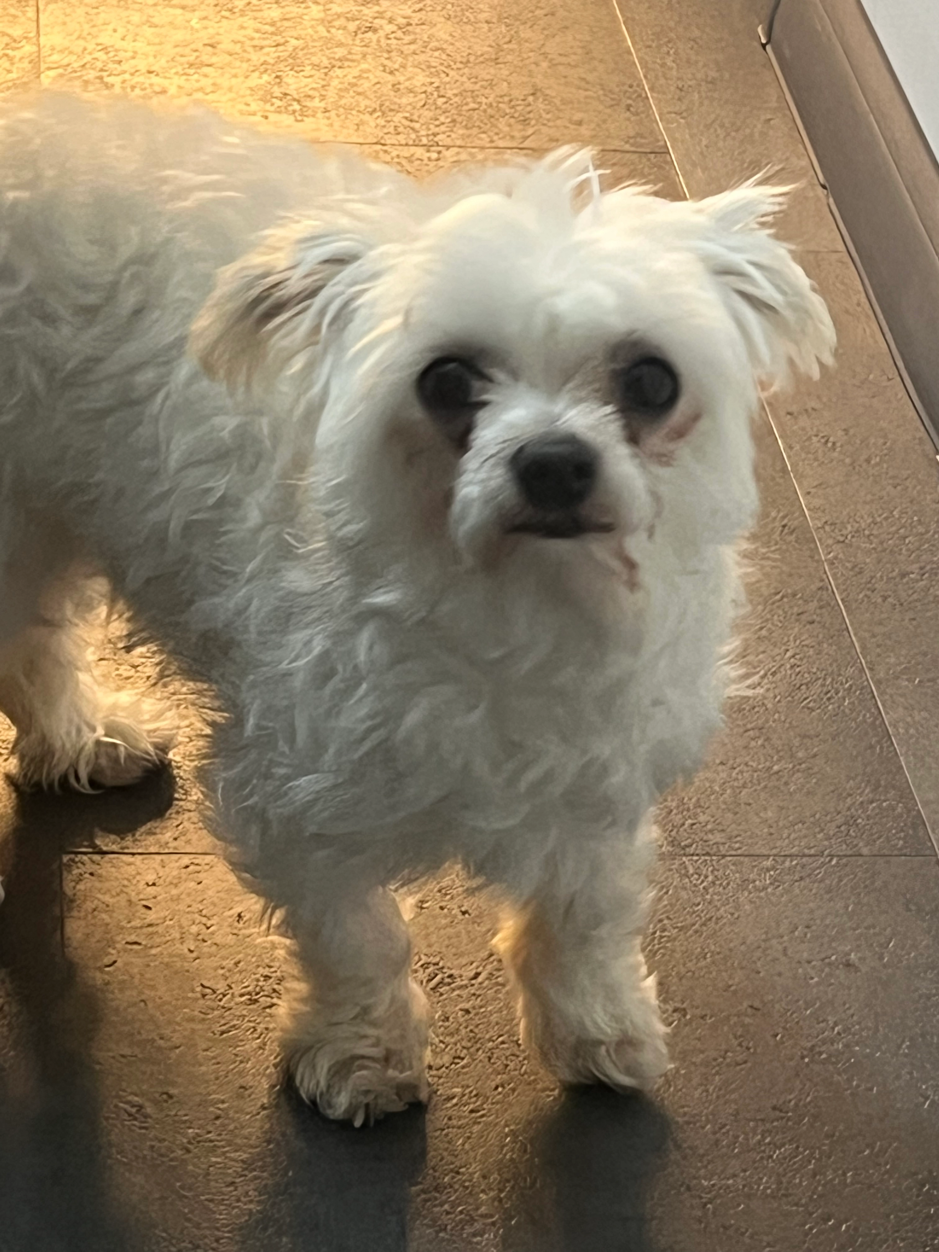 Tommy - Karlsruhestraße, Dortmund