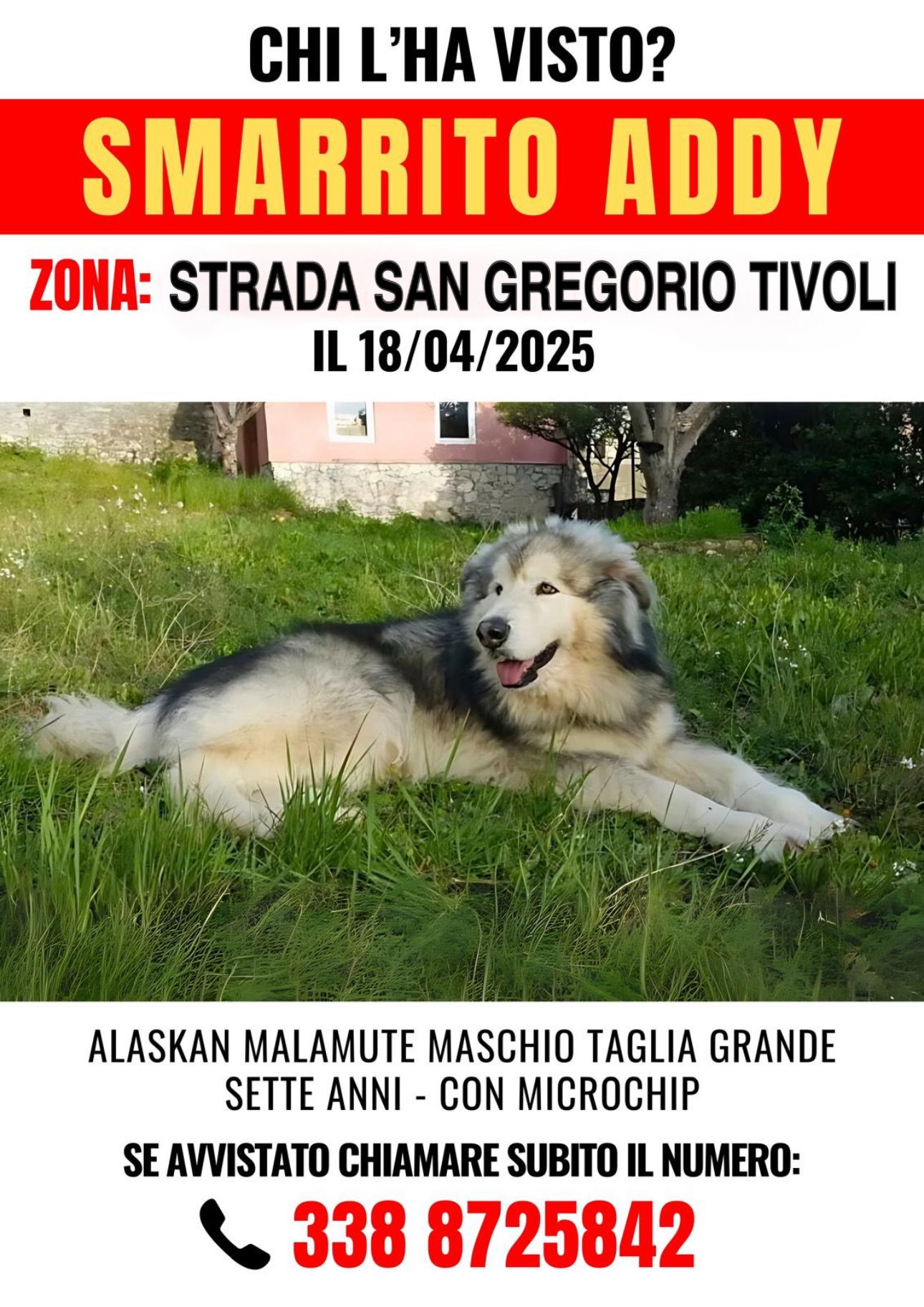 Addy - Strada Provinciale San Gregorio, Tivoli