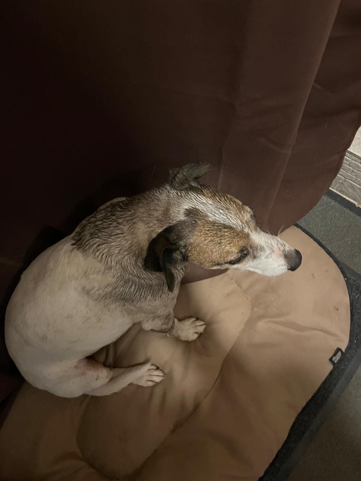 Jobby - Saint-Laurent, Saint-Laurent