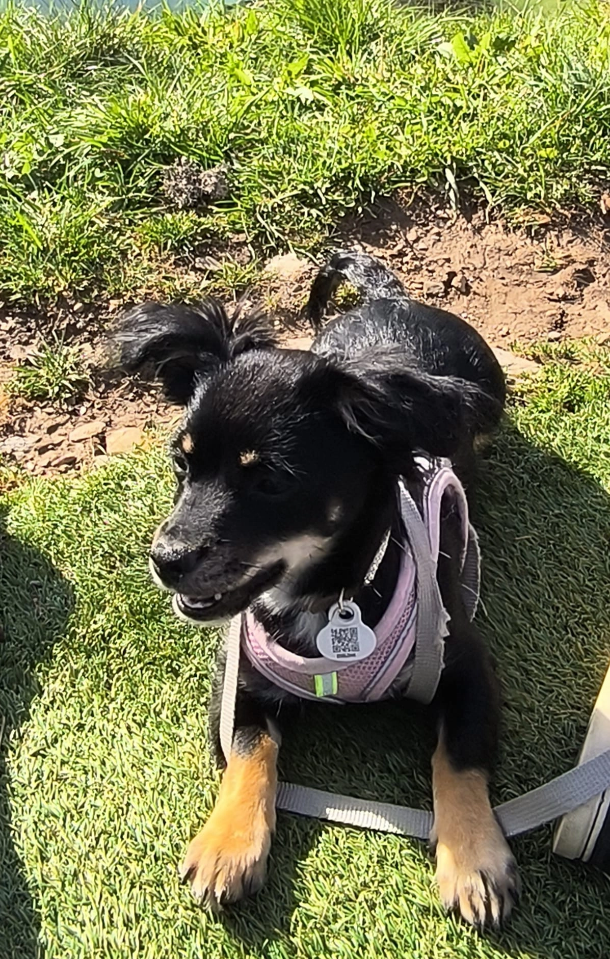 Vaya - Rue Du Roussillon, Saint-Étienne-du-Rouvray