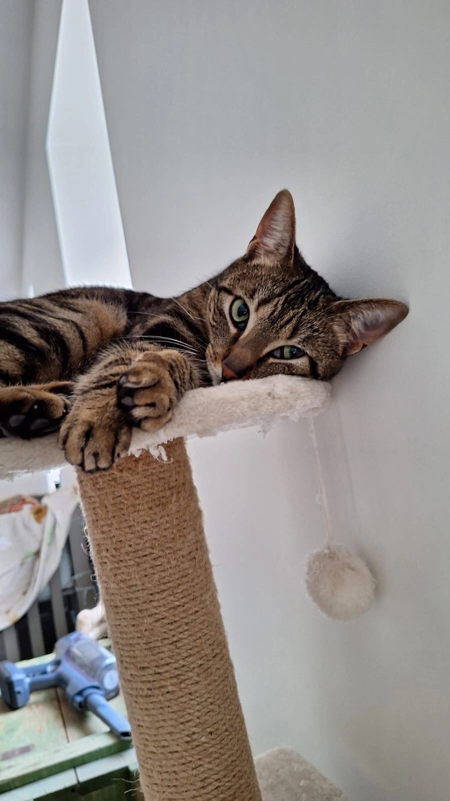 Hope - Rue Remy Himmer, Dinant