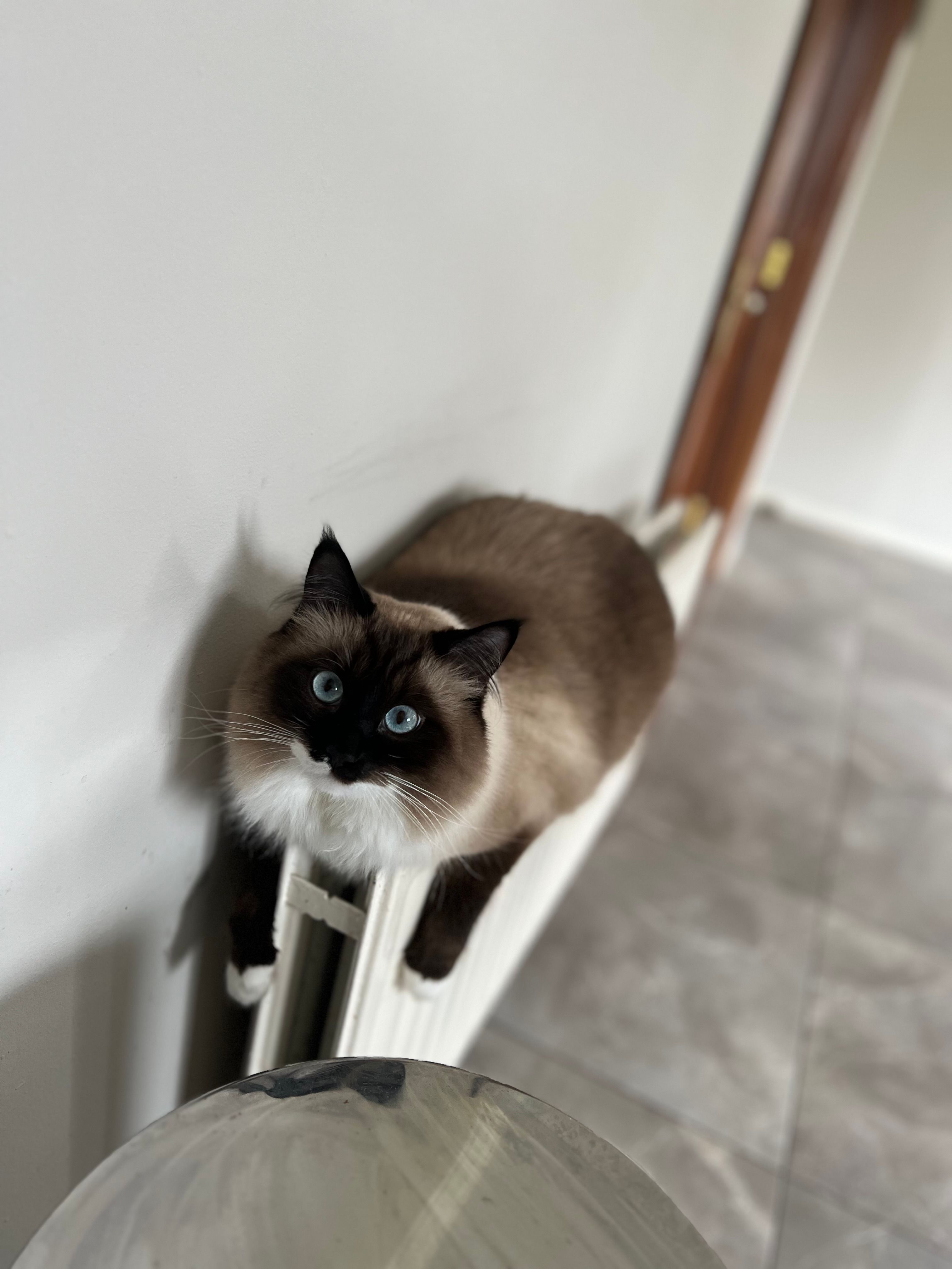 Beans - Gortatogher, Parteen