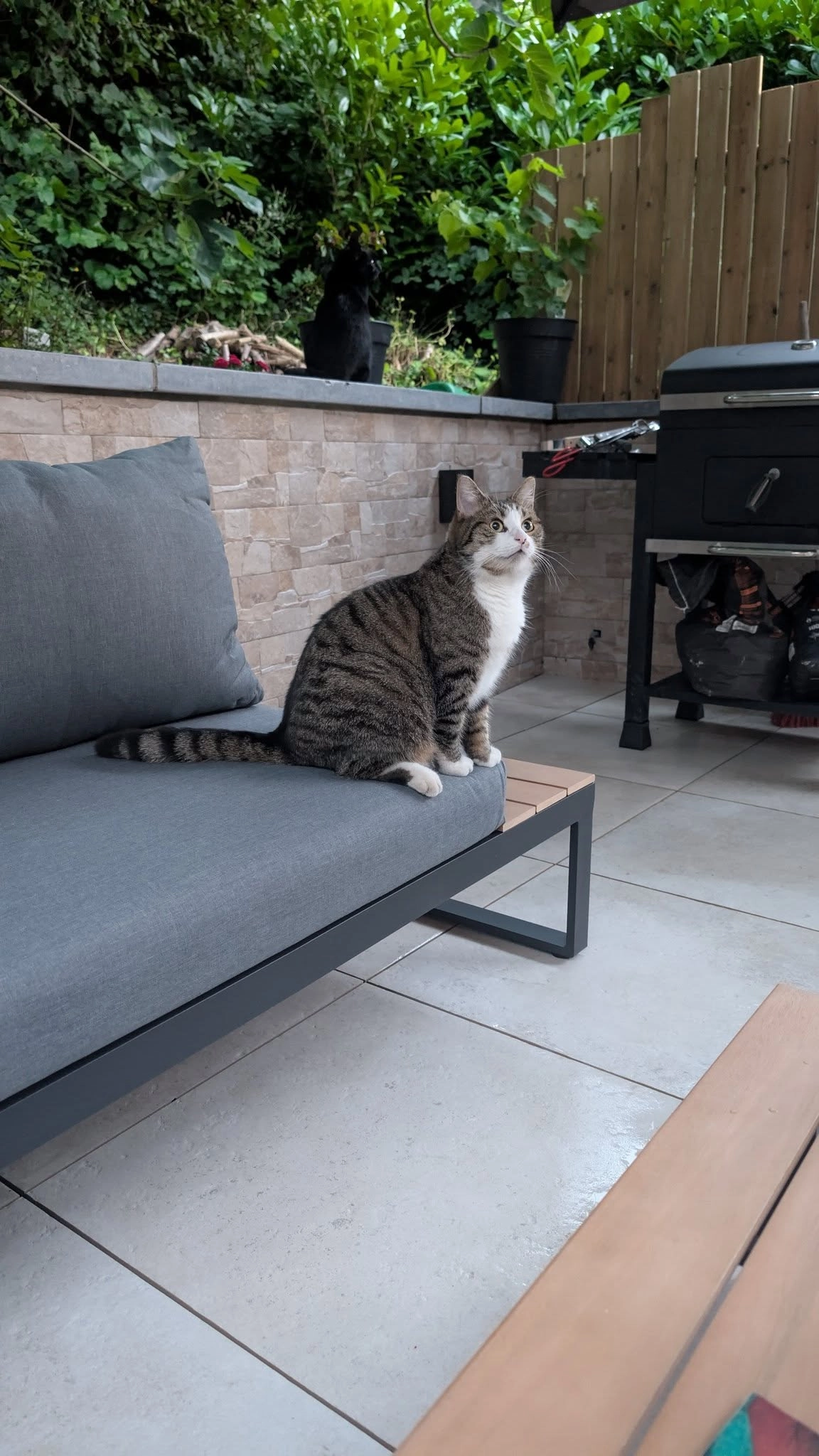 Luna - Rue Ferdinand Nicolay, Saint-Nicolas