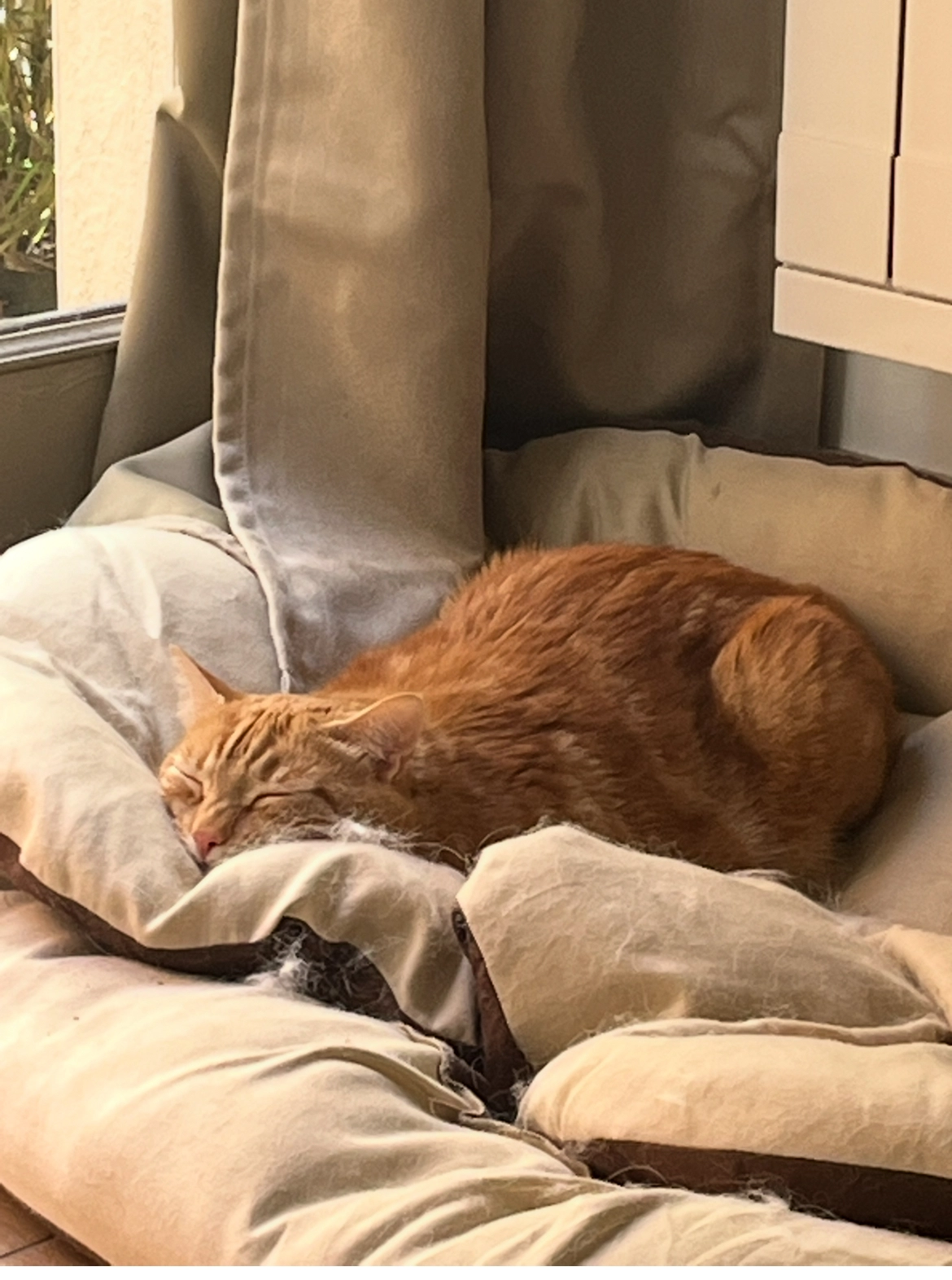 Léon  - Rue Marietton, Lyon