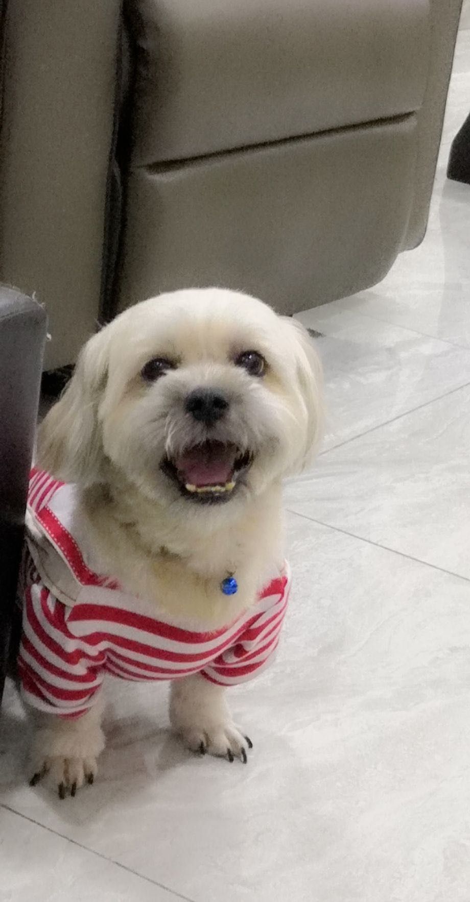 Lucky - 43300, Seri Kembangan