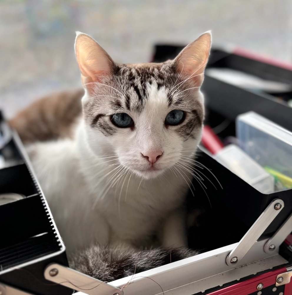 Eros - Kranebitter Allee 96, Innsbruck