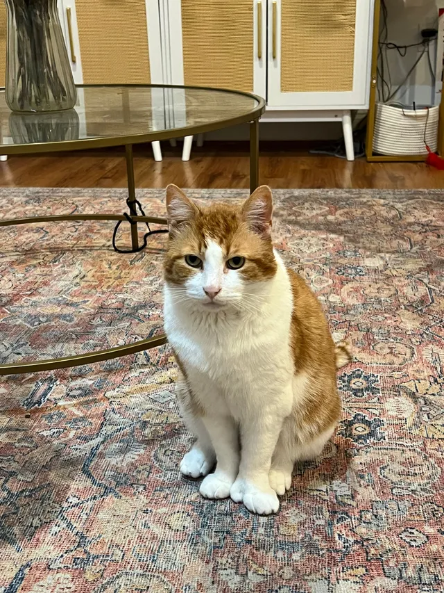 William - 38th Street North, Arlington