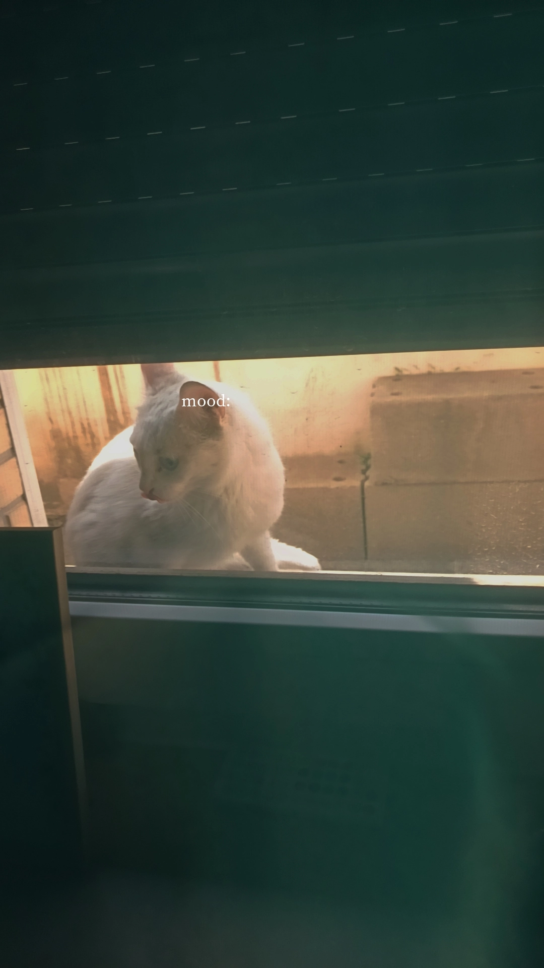 Zoe - Bundesstr., Kretz