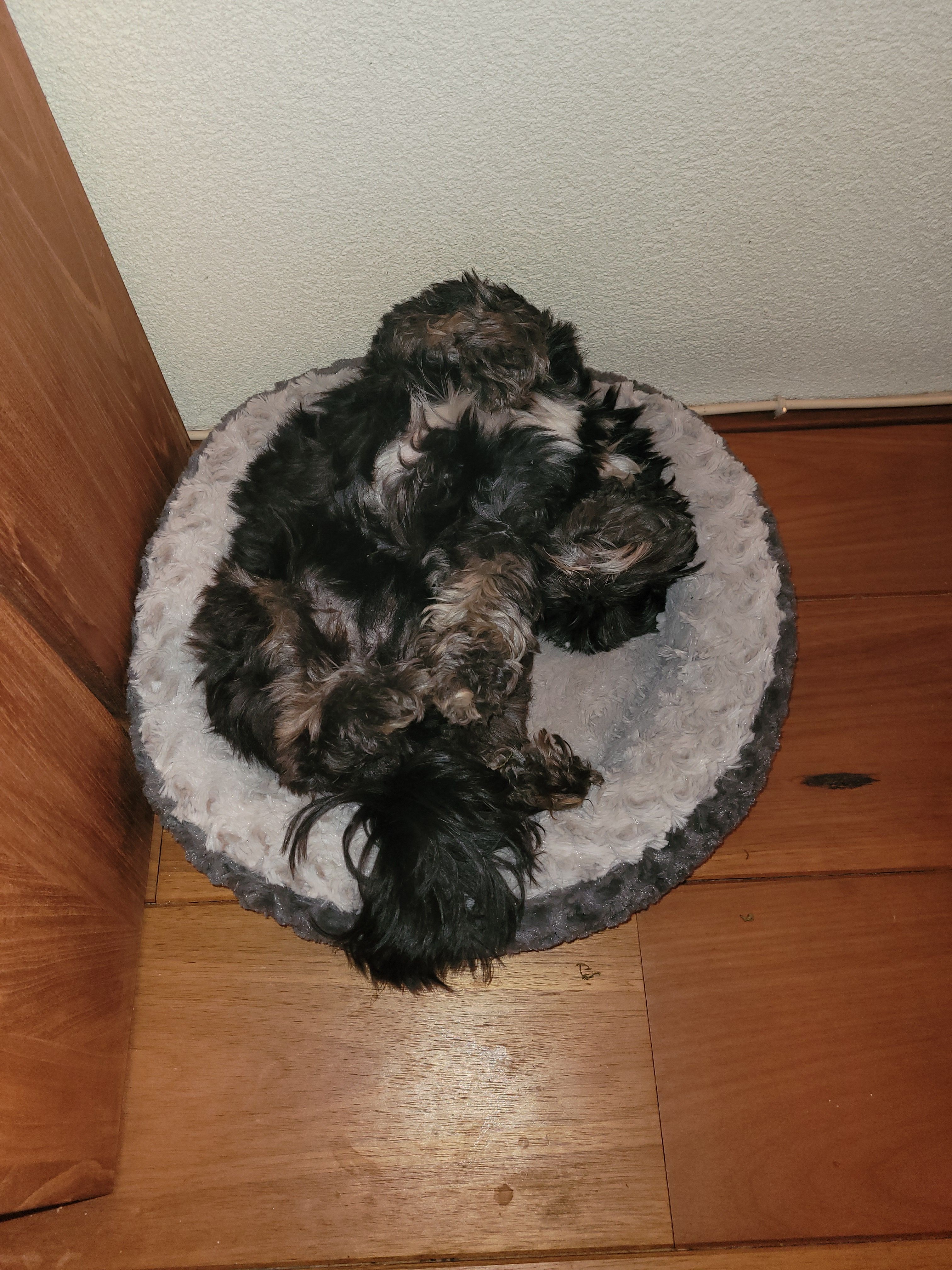 Chipy - Nederwoudseweg 76g, Barneveld