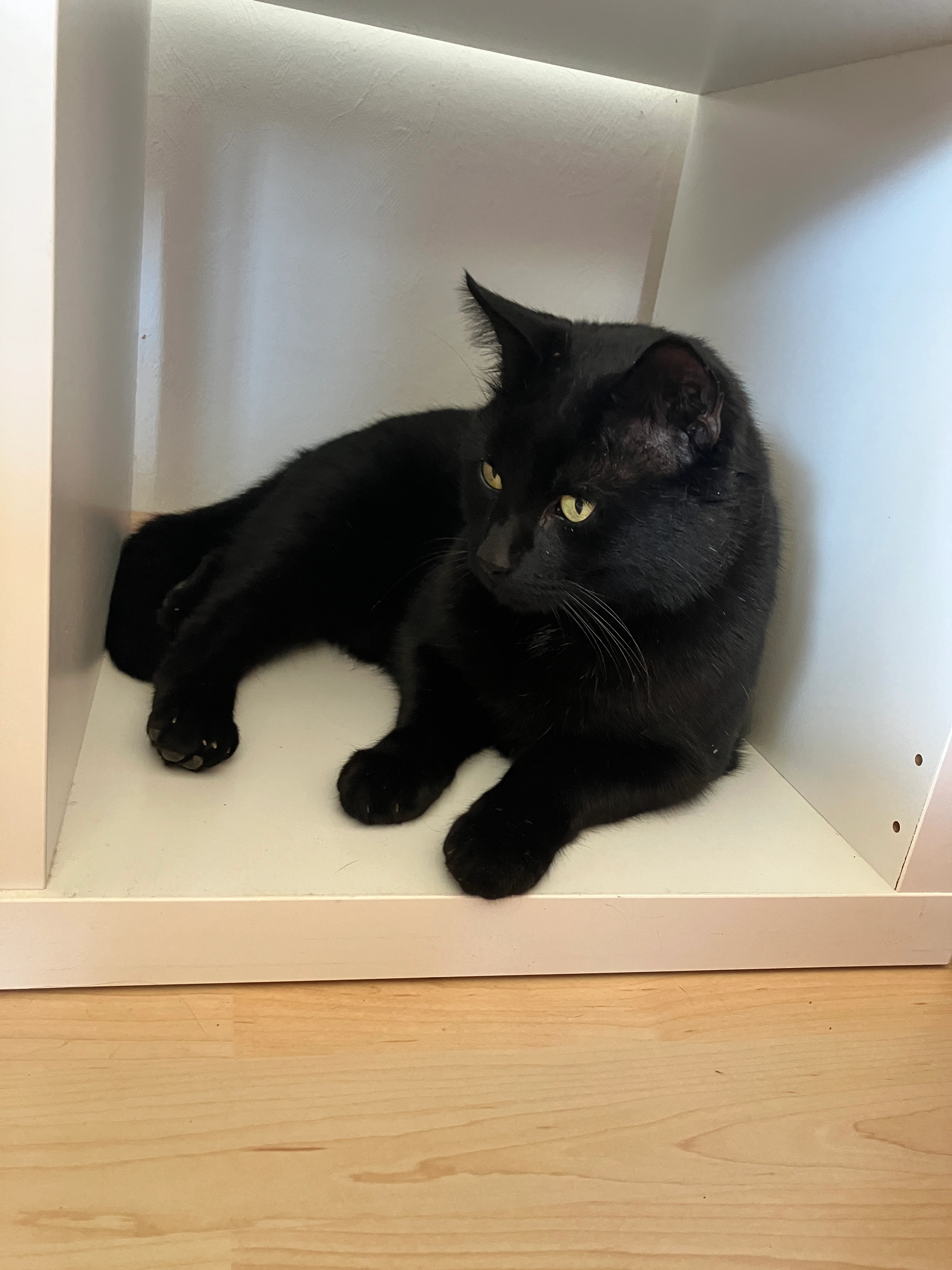 Piero - Im Vogelsang, Baiersbronn