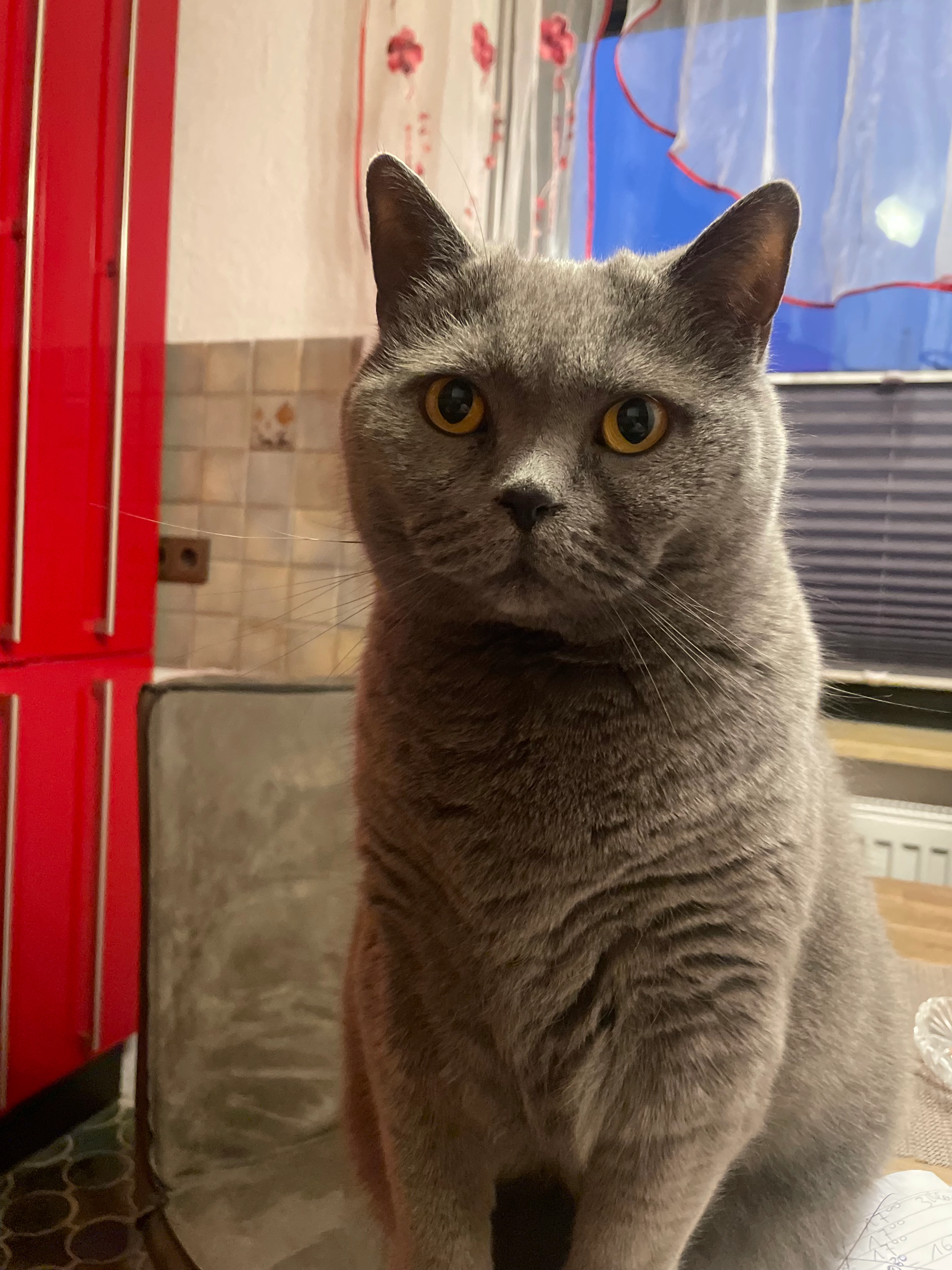 Pico - Breslauer Straße, Wedemark