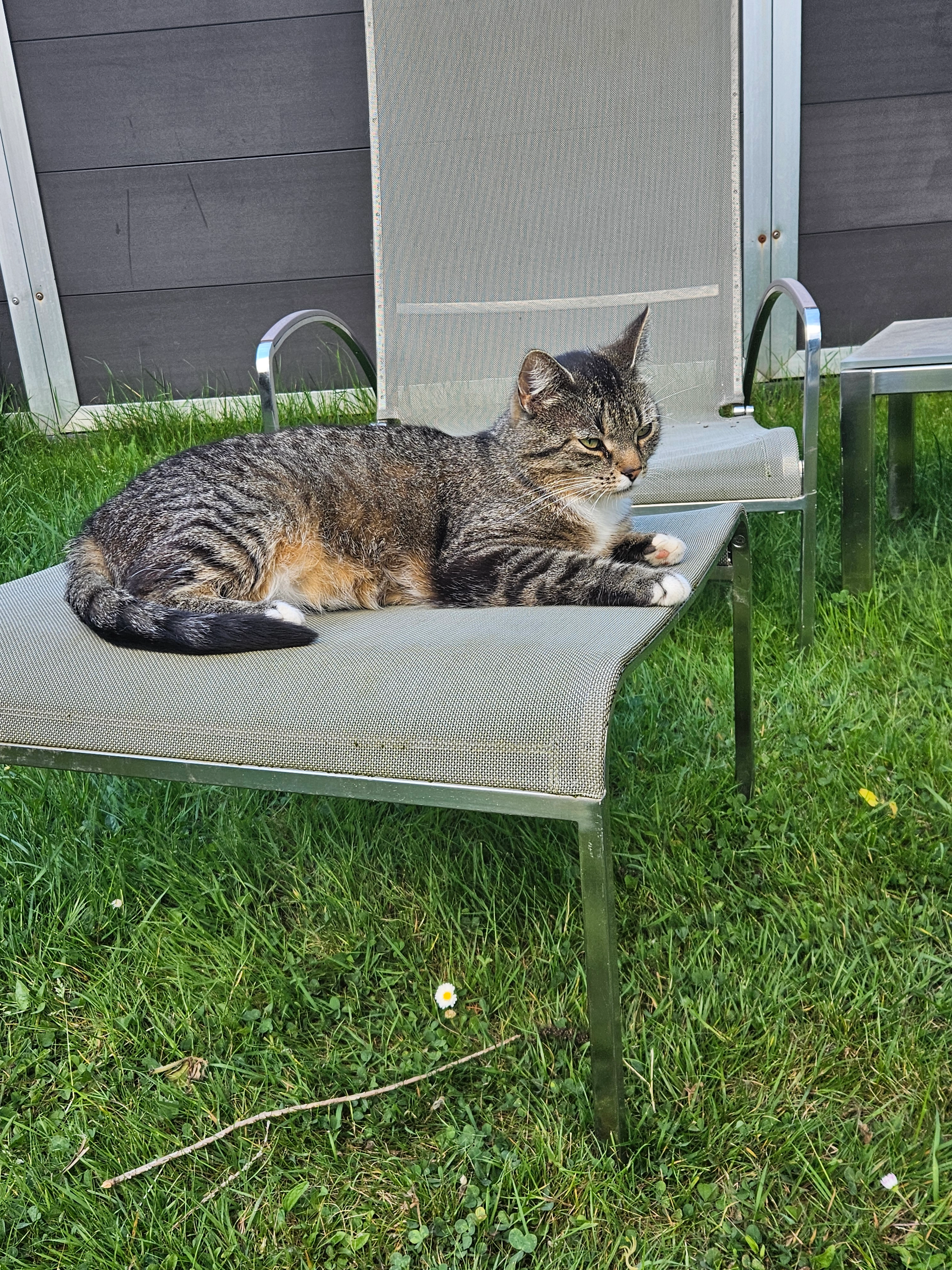 Bayka - Vlierboomstraat 52, Tervuren