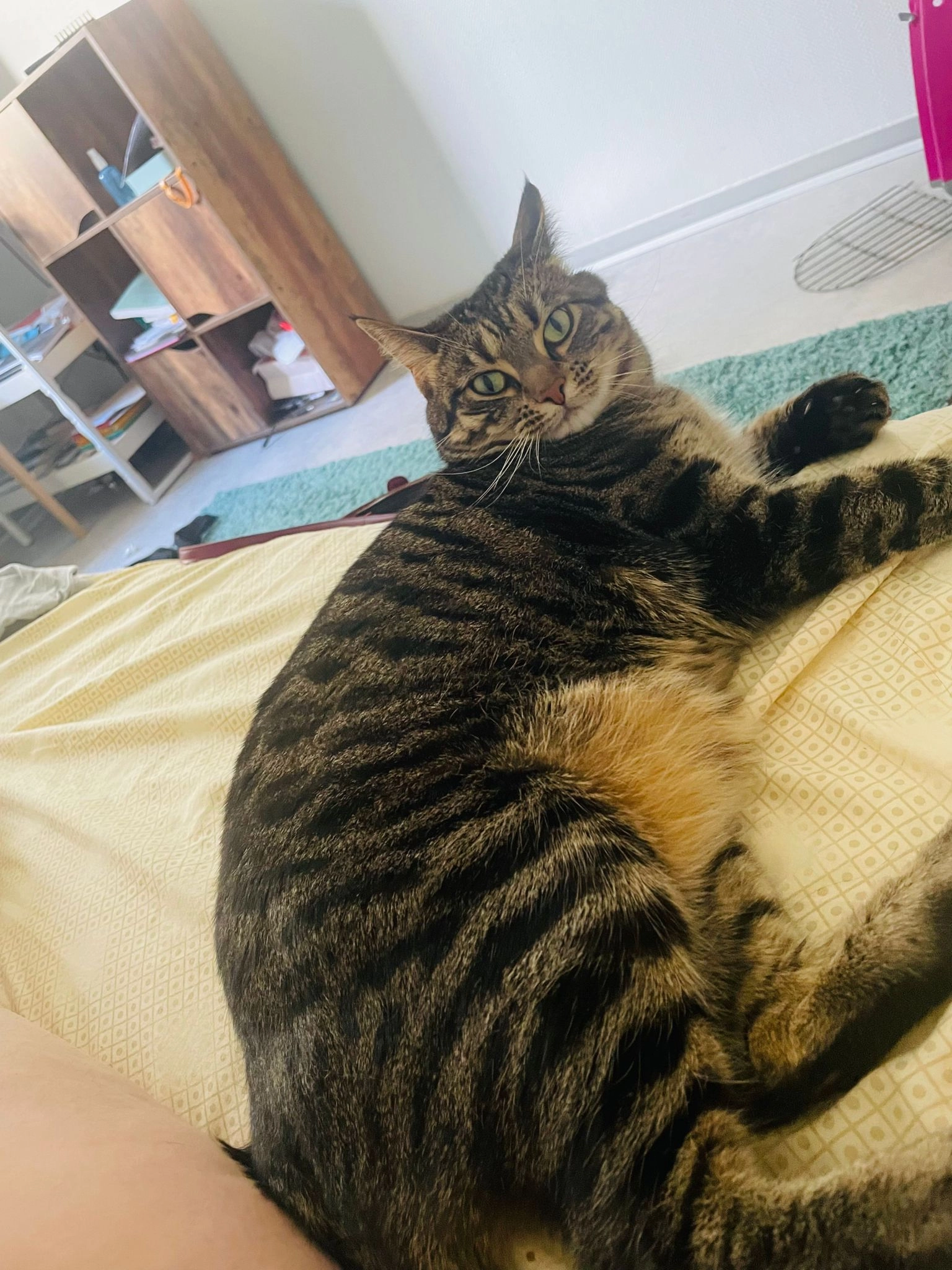 Lisa - Runosmäenkatu, Turku