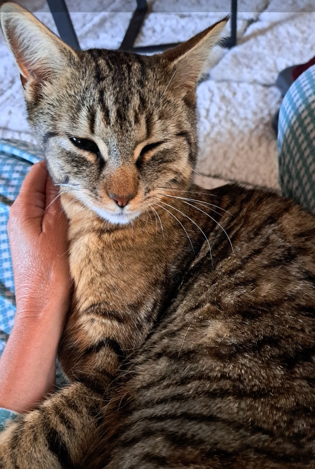 Mindo - Route De La Gravière, Penthaz