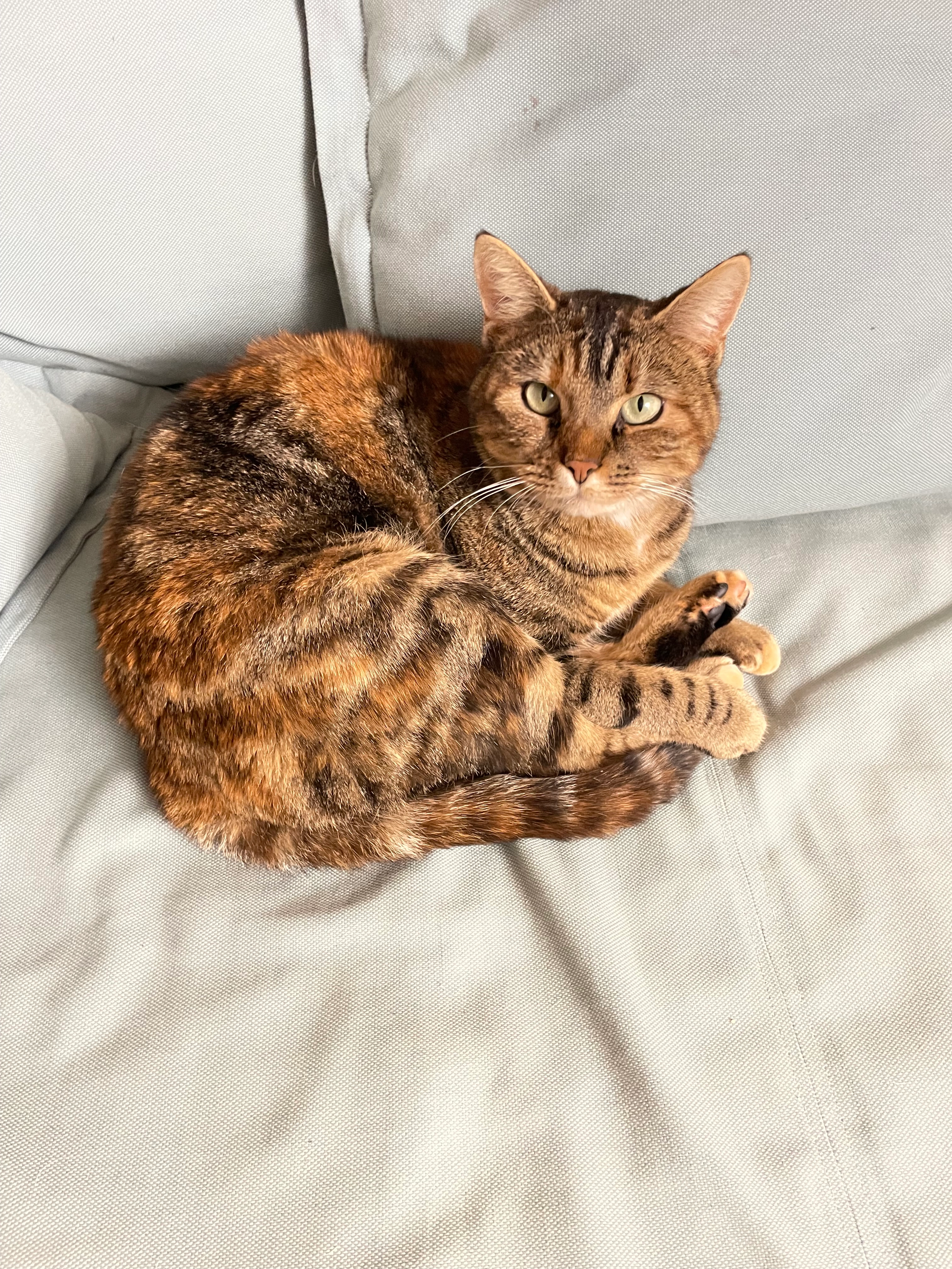 Jacky - Eichwaldstrasse, Meggen