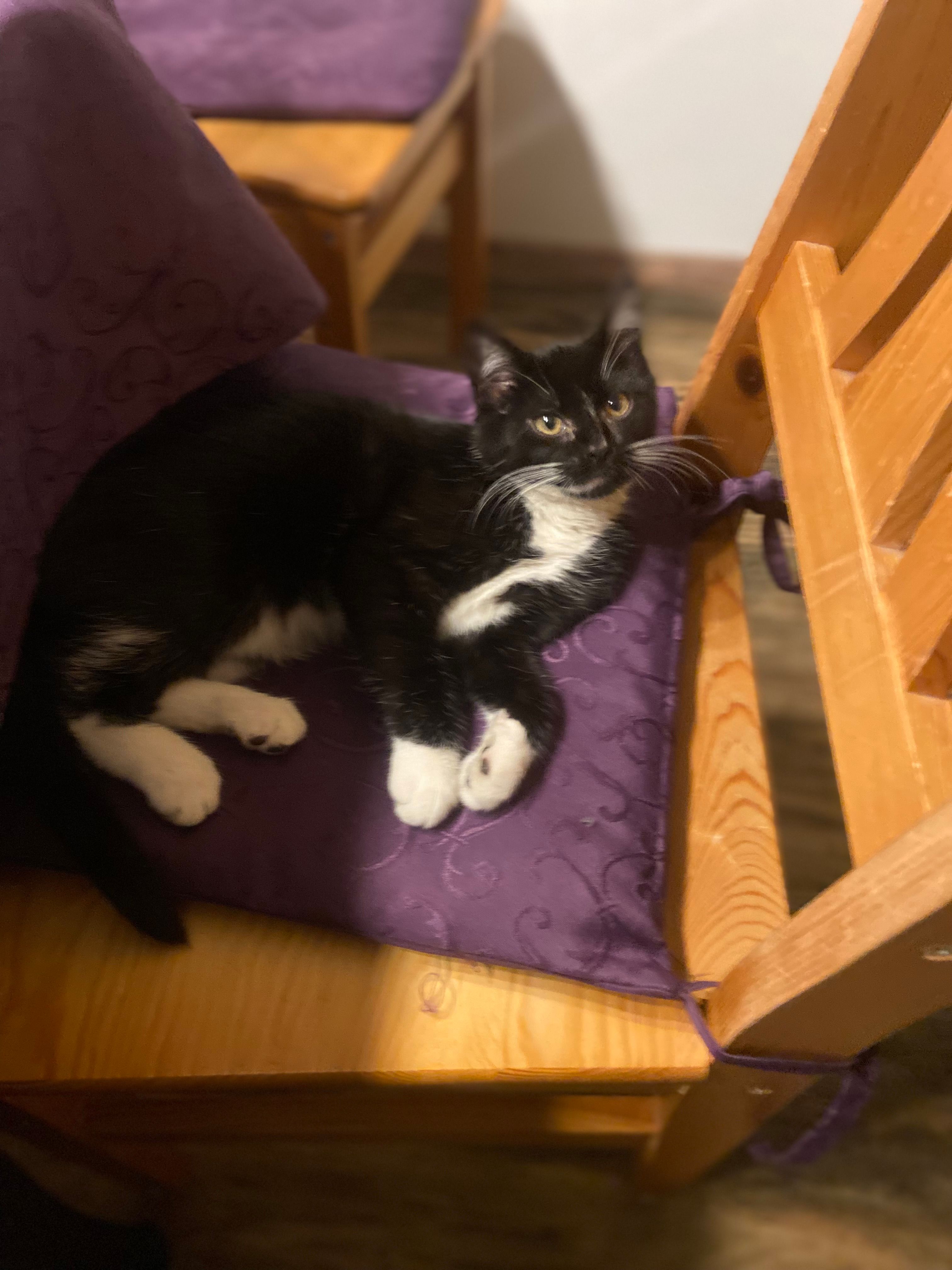 Smockey - Leipziger Straße, Geithain