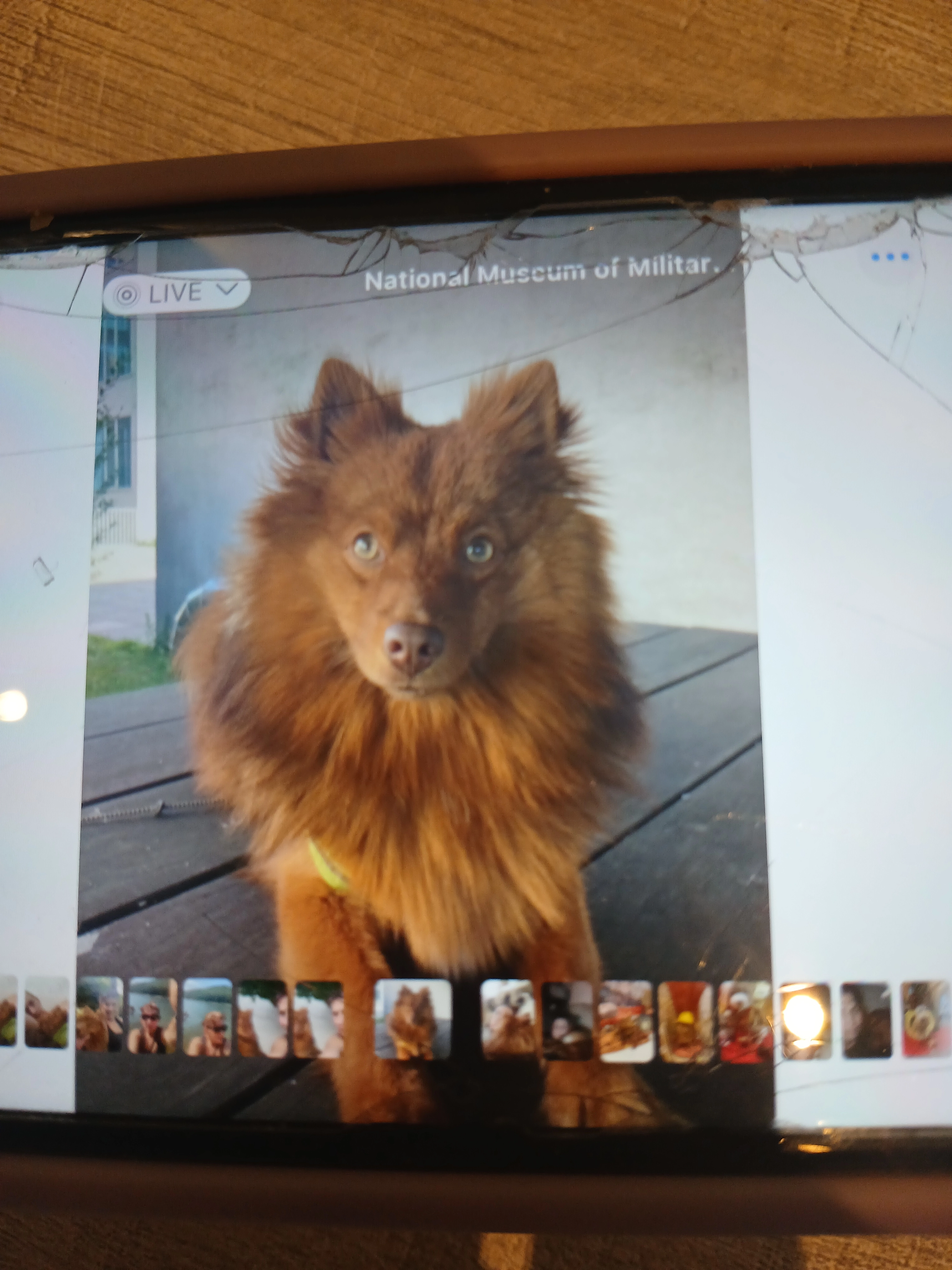 Woflke - Merksemsesteenweg, Antwerpen