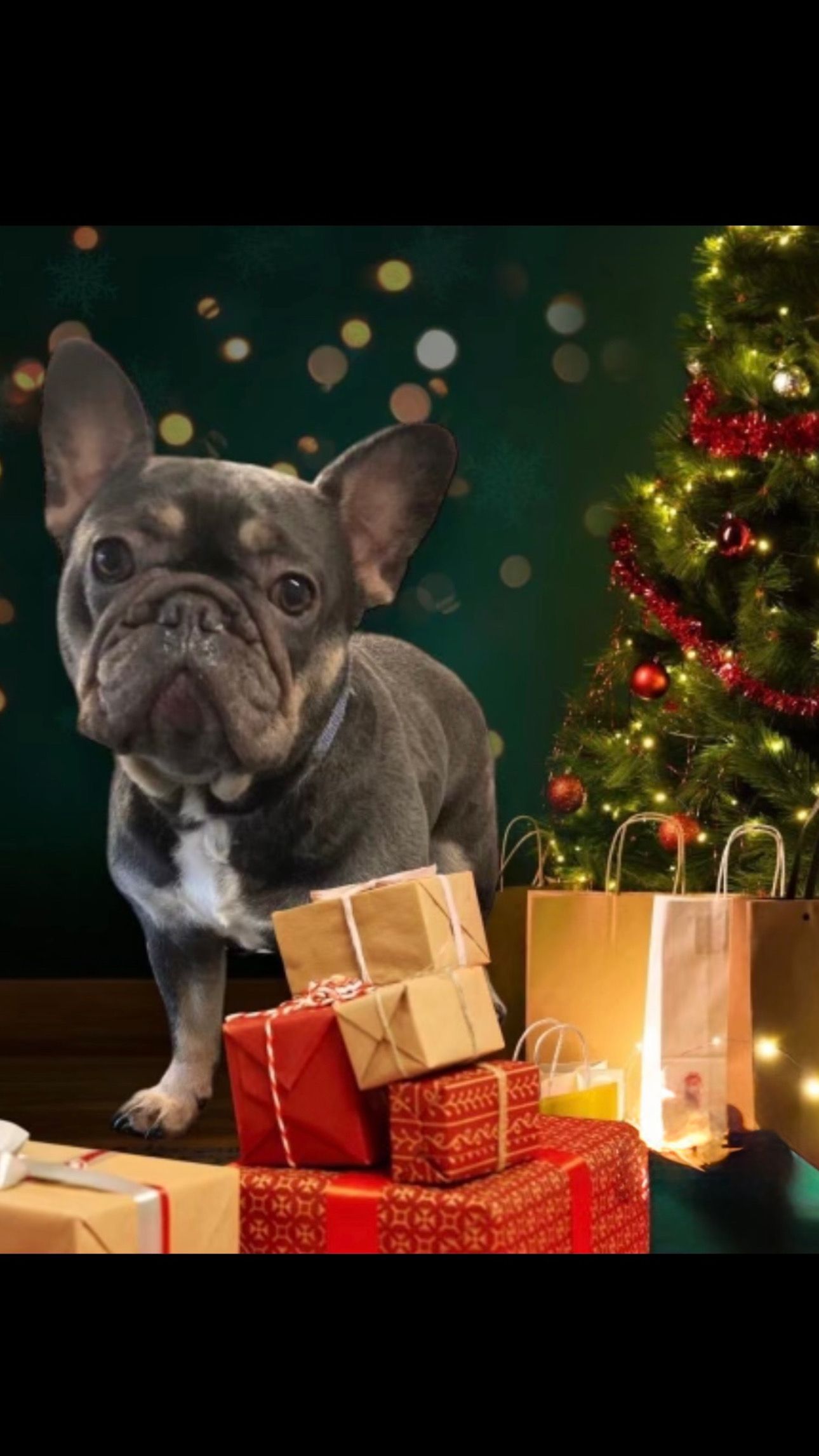 Pearl - Grisedale Avenue, Huddersfield