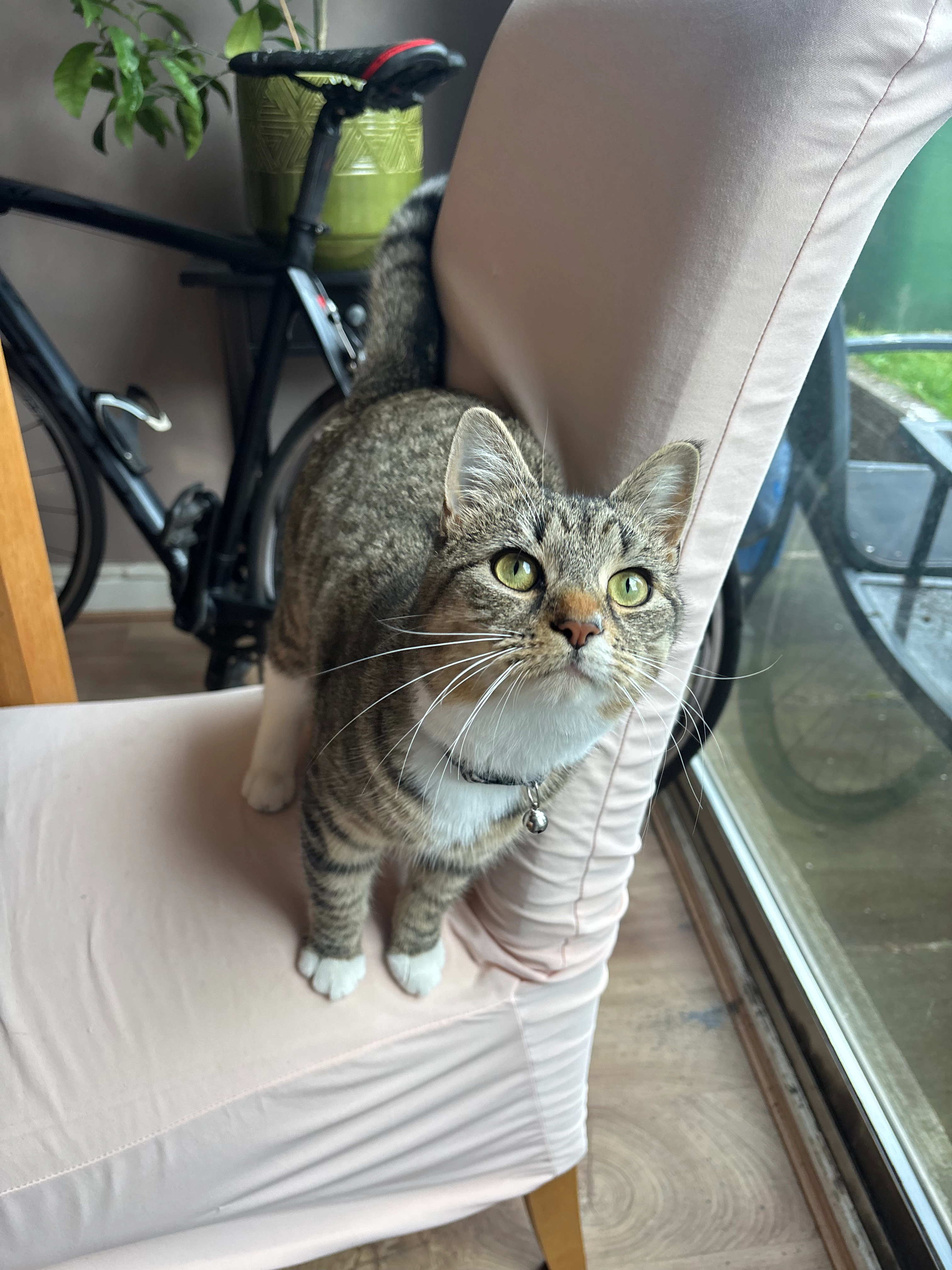 Taylor - WS11 1, Cannock