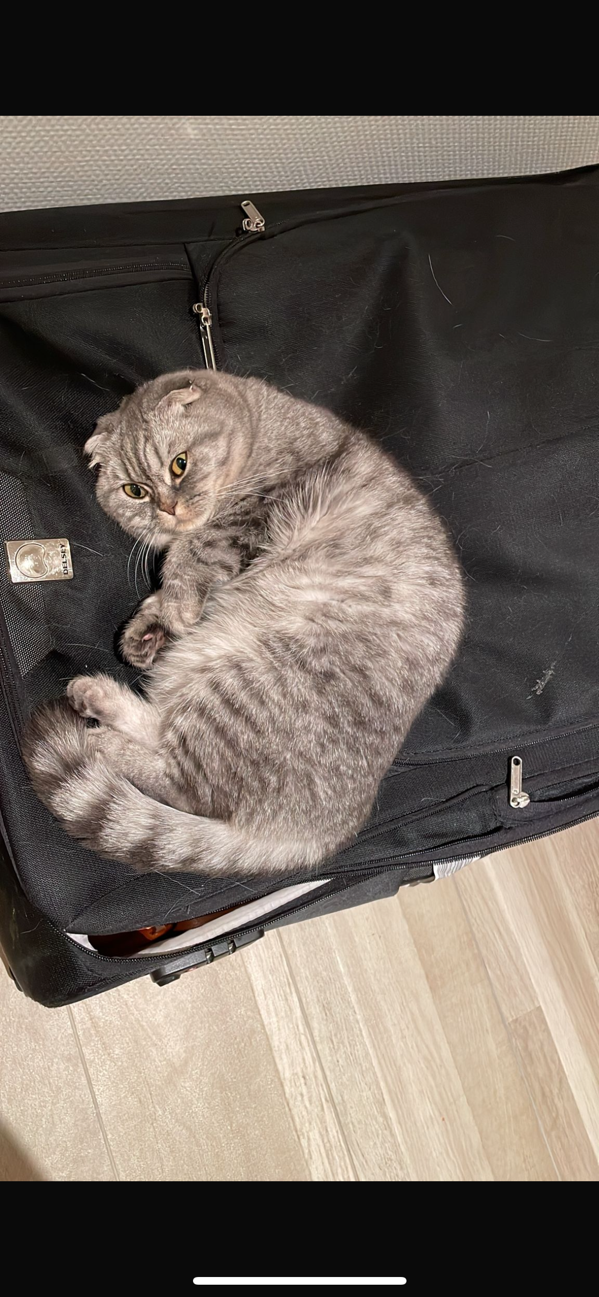 Mia - Avenue tan tan Bourgogne, Casablanca