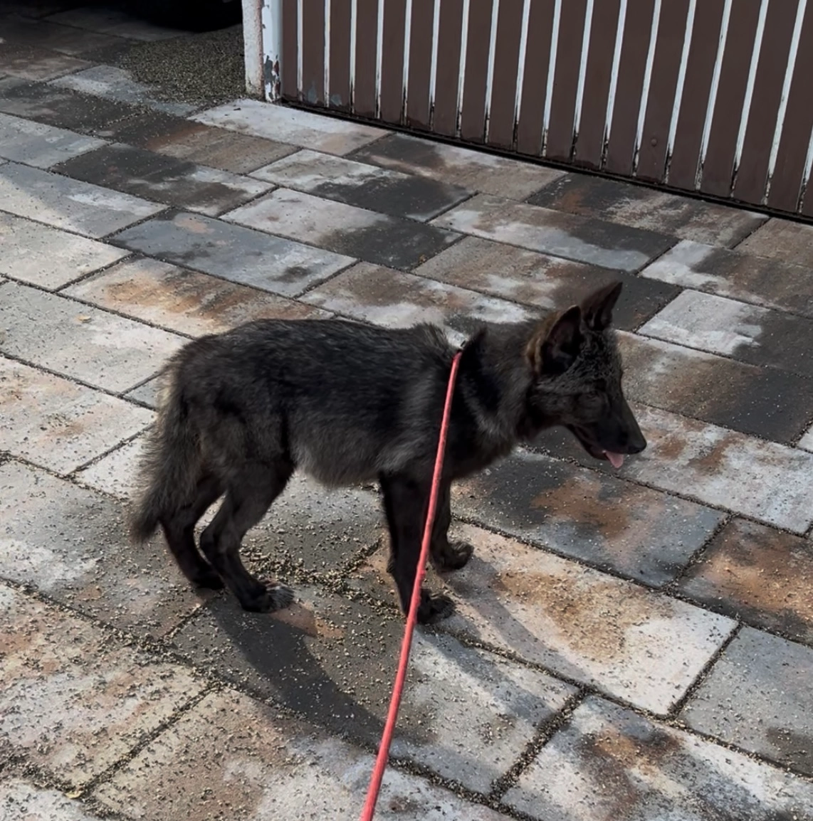 Bella - Bürgstraße, Hohberg