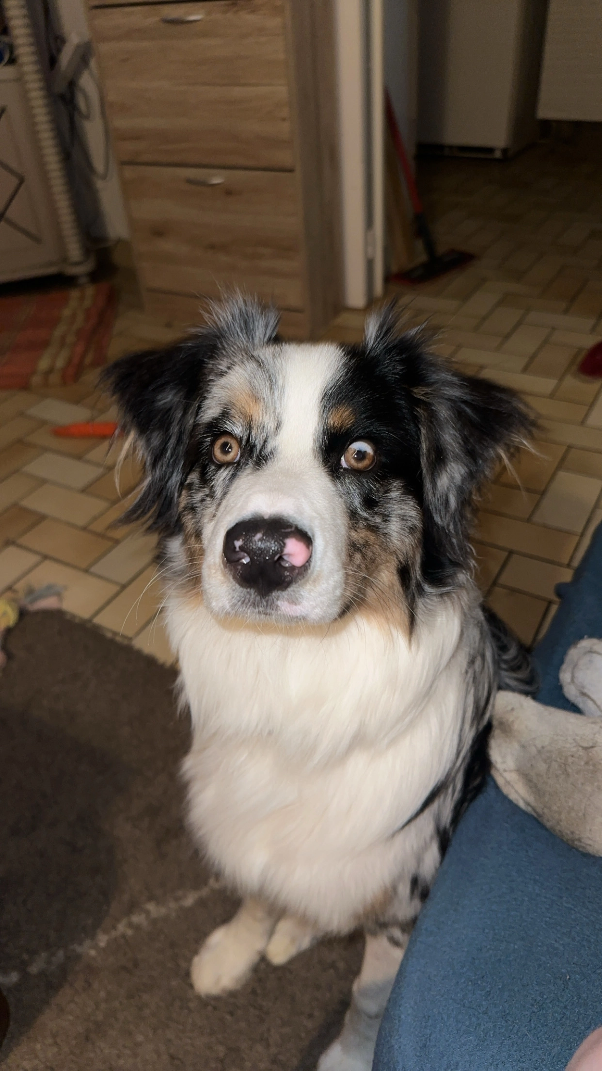 Némo - 1 Rue de la Franchise, Lencloître