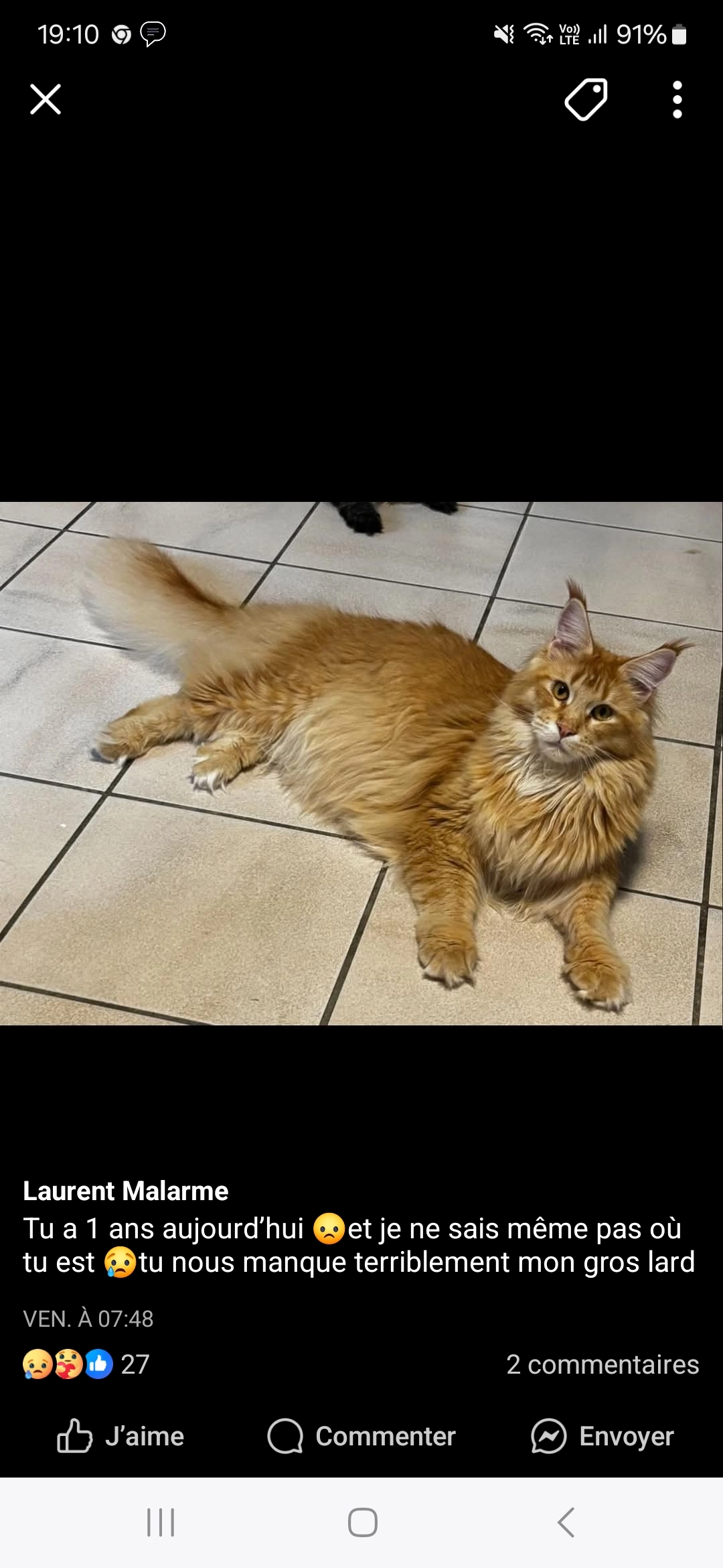 Wilfrid  - Rue De Bonhome, Habay