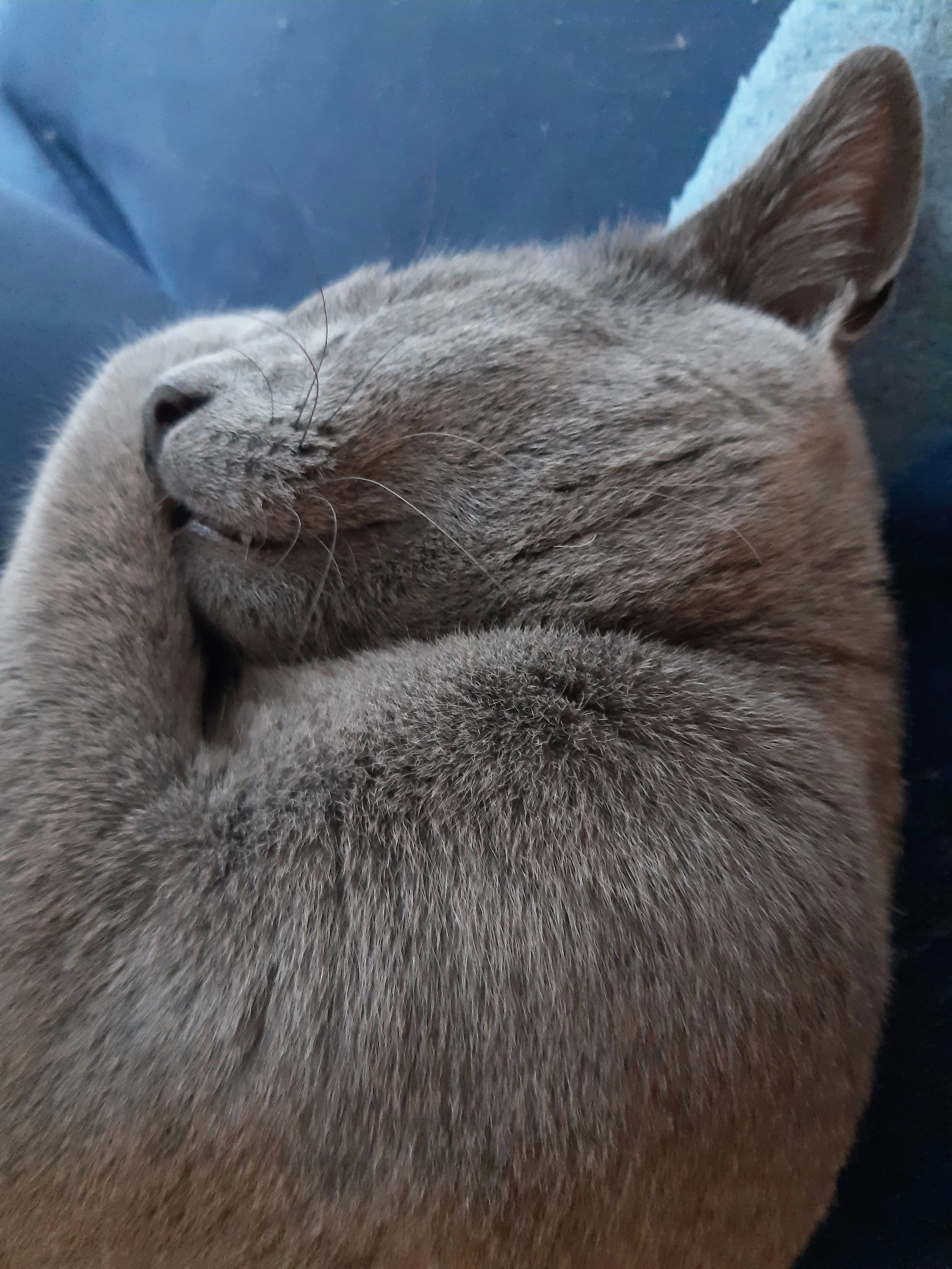 Simba - 6300, Wörgl