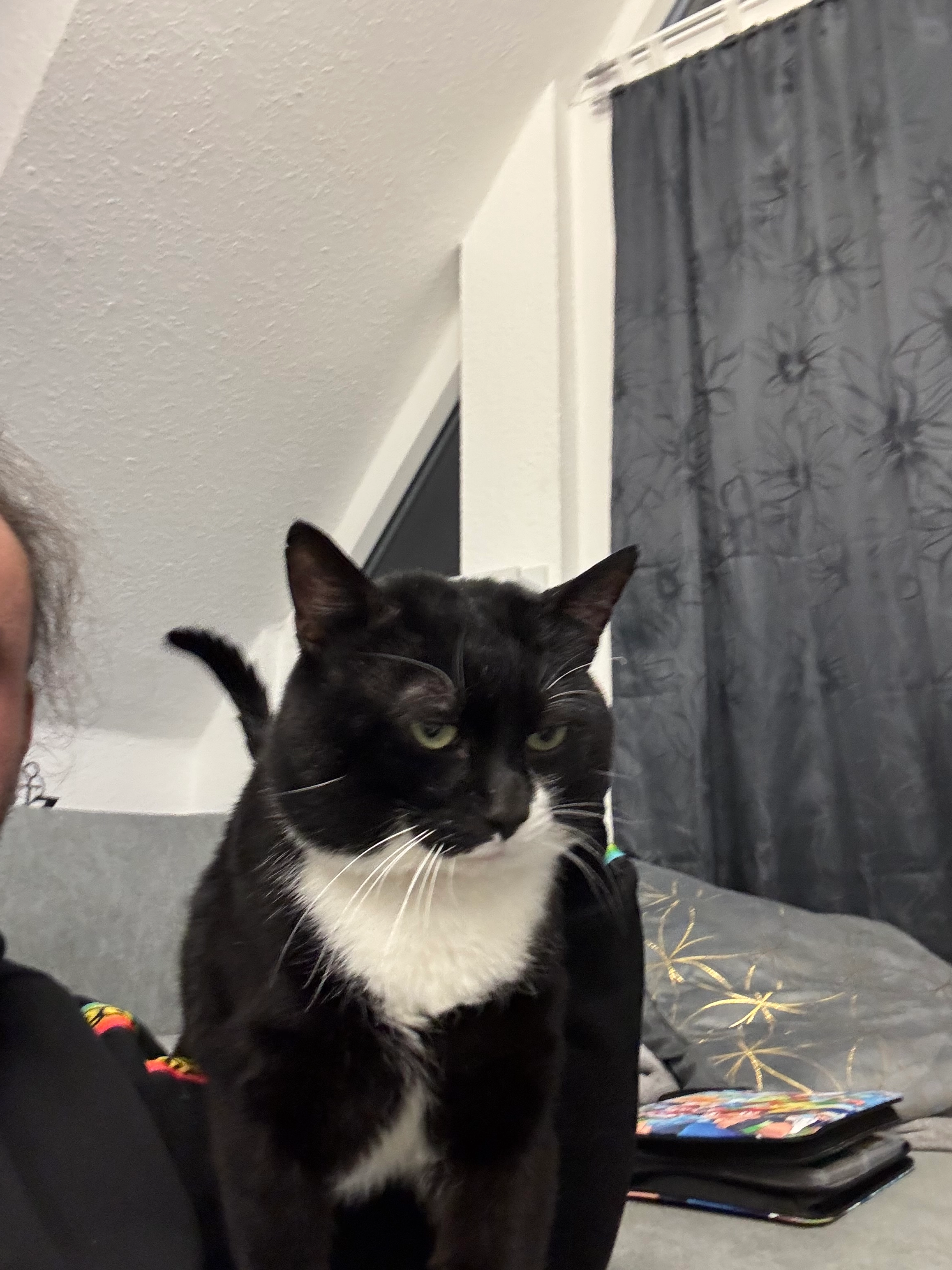 Speggy - Steinweg, Gehrden