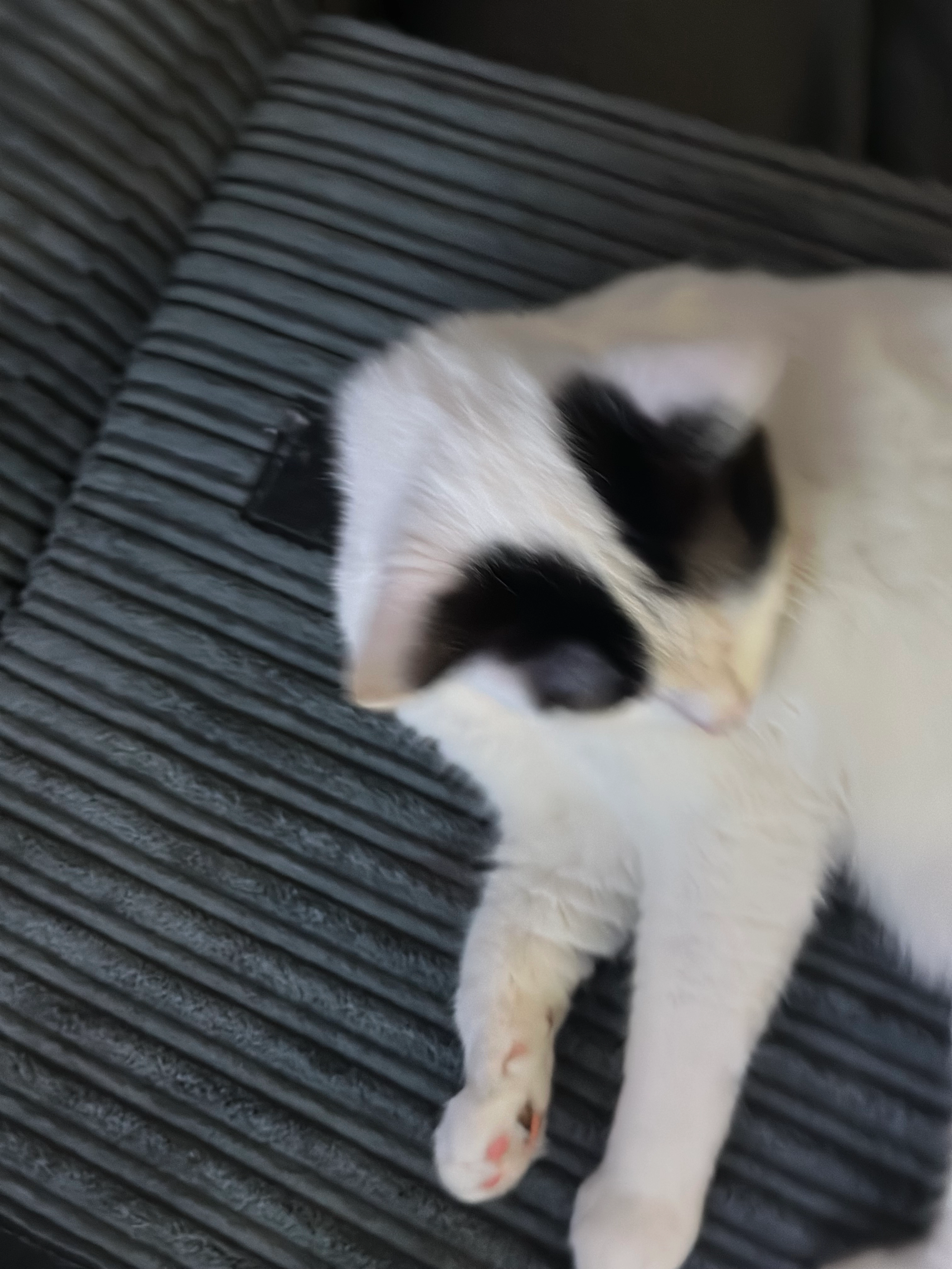 Stanley - Orchard Way, Salisbury