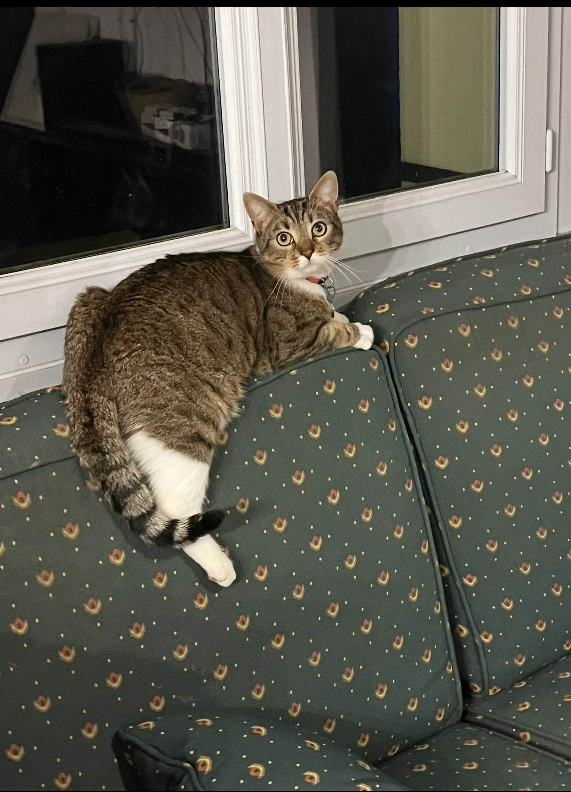 Mimiche  - 63 Rue Saint-Martin, Roye-sur-Matz