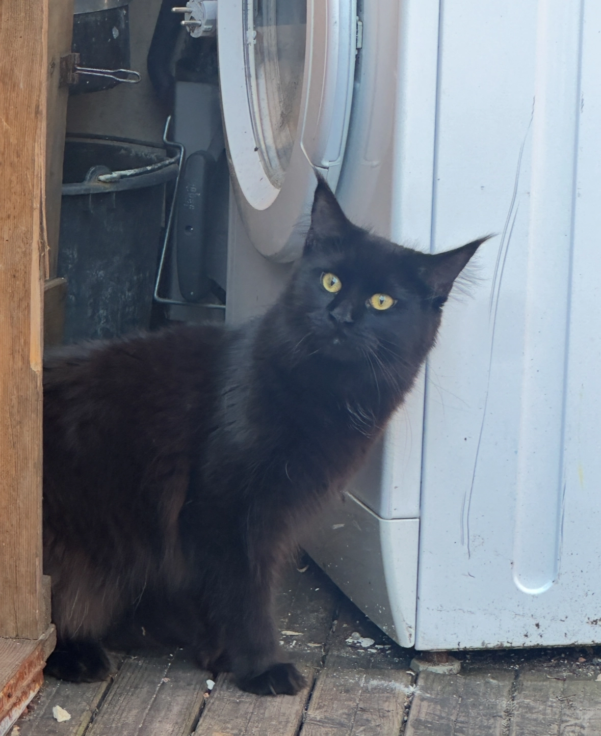 Subi - Lochgäßchen, Augsburg