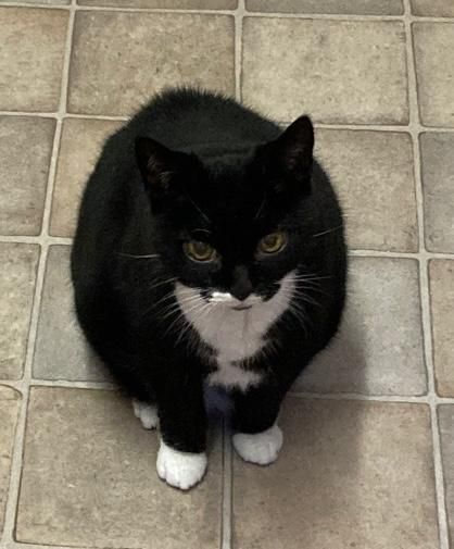 Cleo - Viewlands Road, Perth