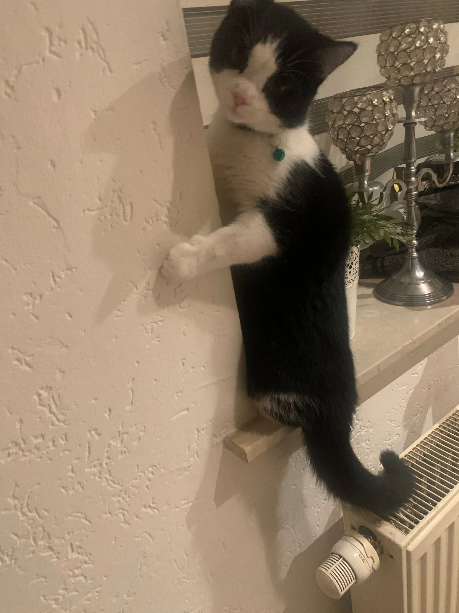 kaplan - Eilermarkstraße, Gronau