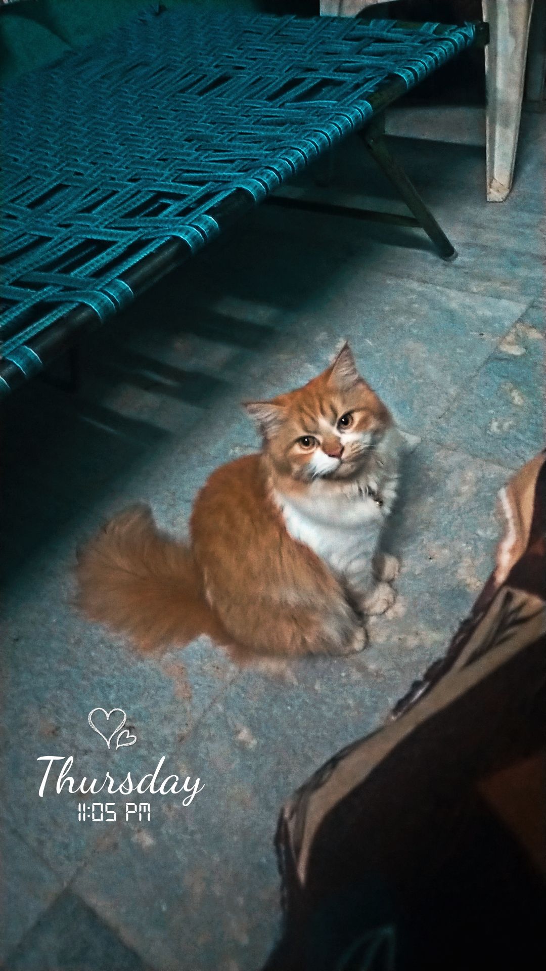 Minnu - Mdr, Kadapa mandal